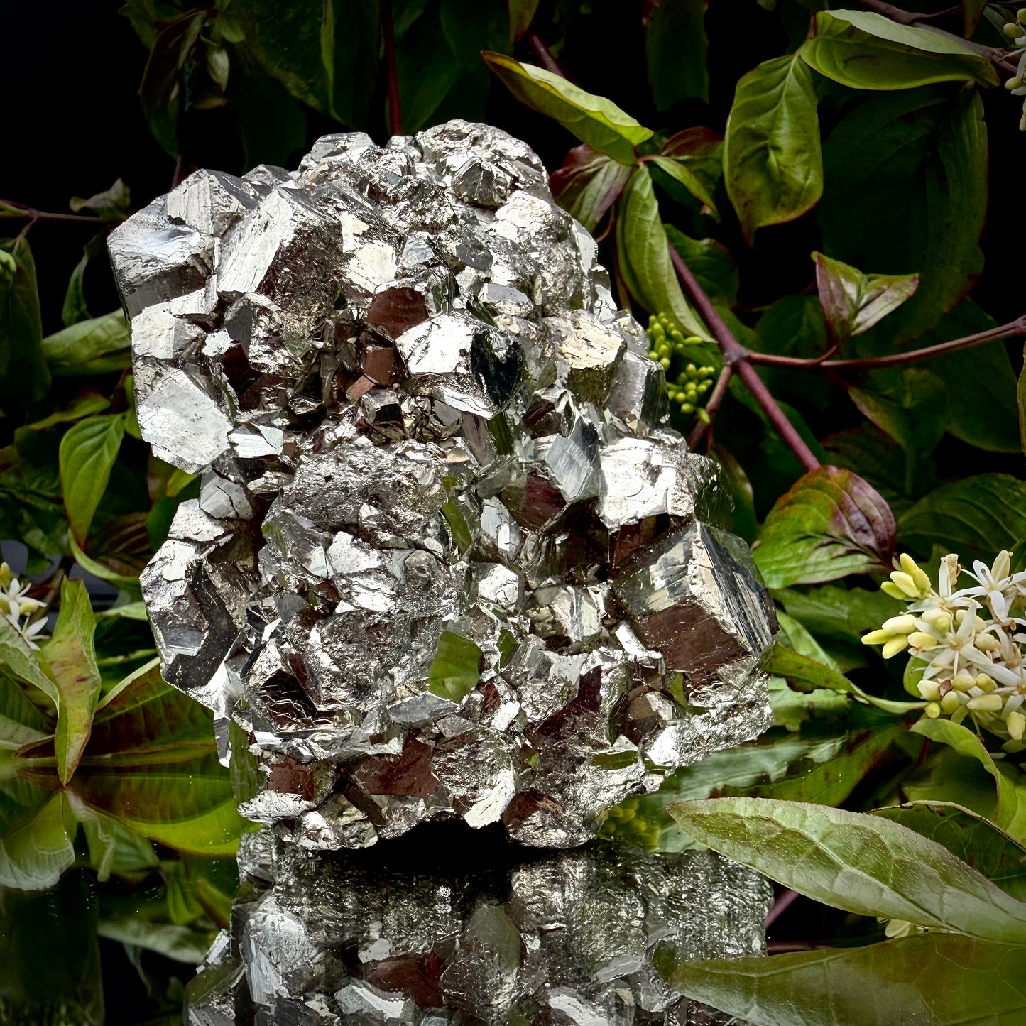 Close-up of multi-faceted geometric cubic and pyritohedral crystal formations on a raw Pyrite specimen.