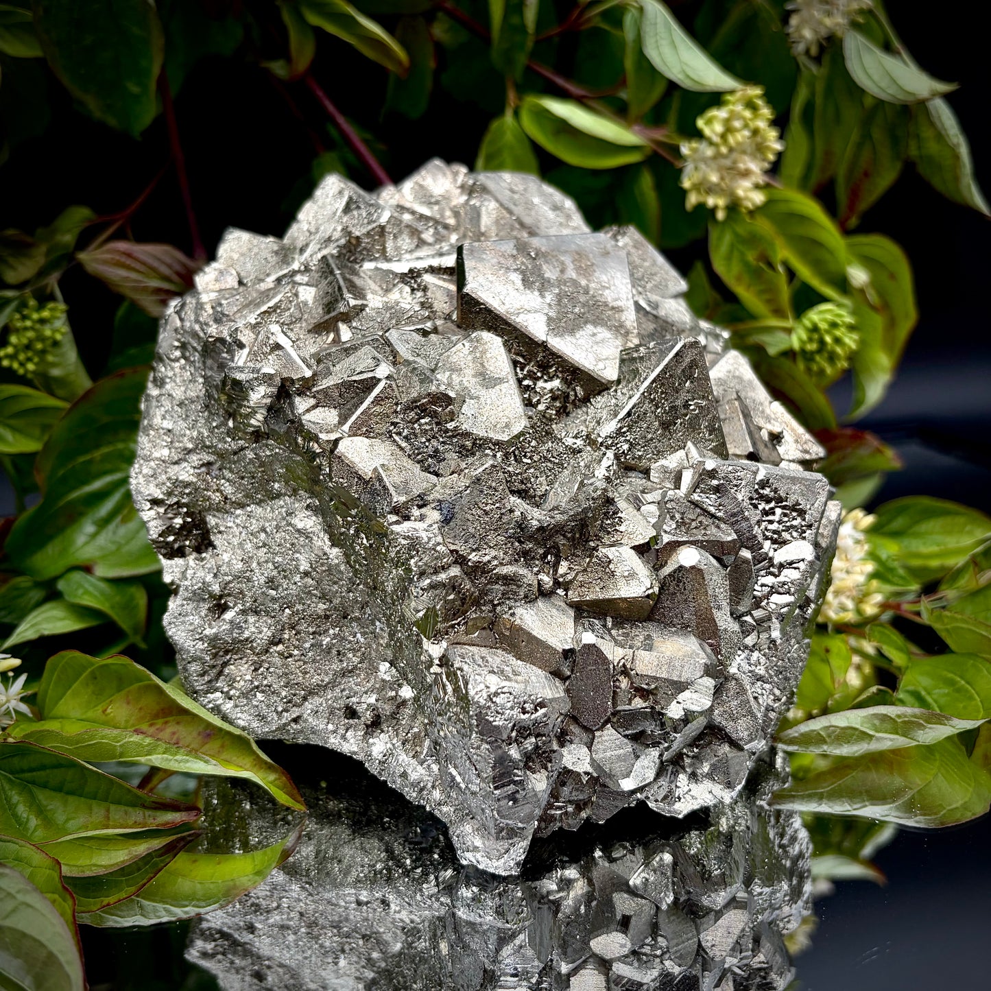Side view of a large Pyrite cluster highlighting its bright metallic lustre.