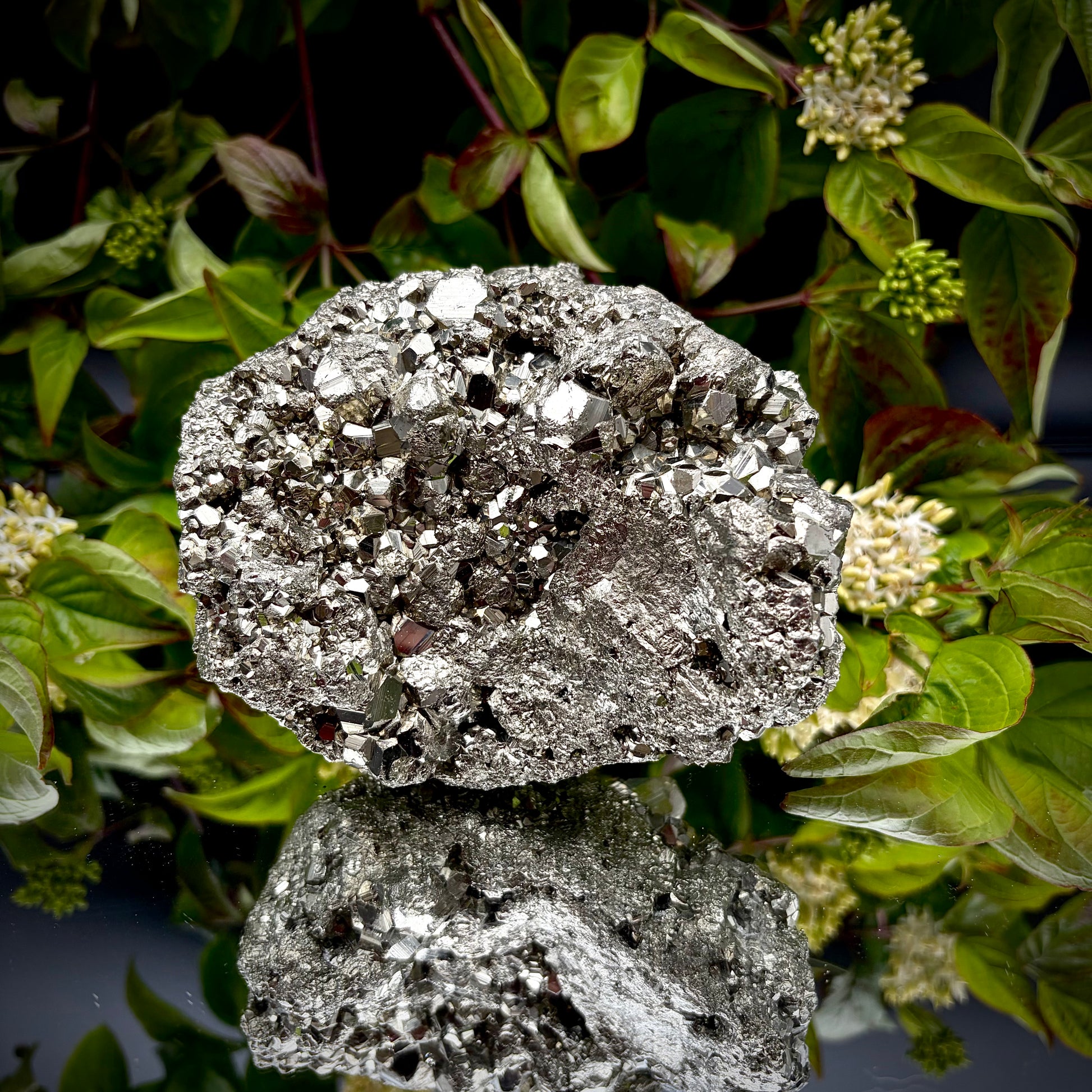 Underneath view of a large Pyrite cluster highlighting its bright metallic lustre.