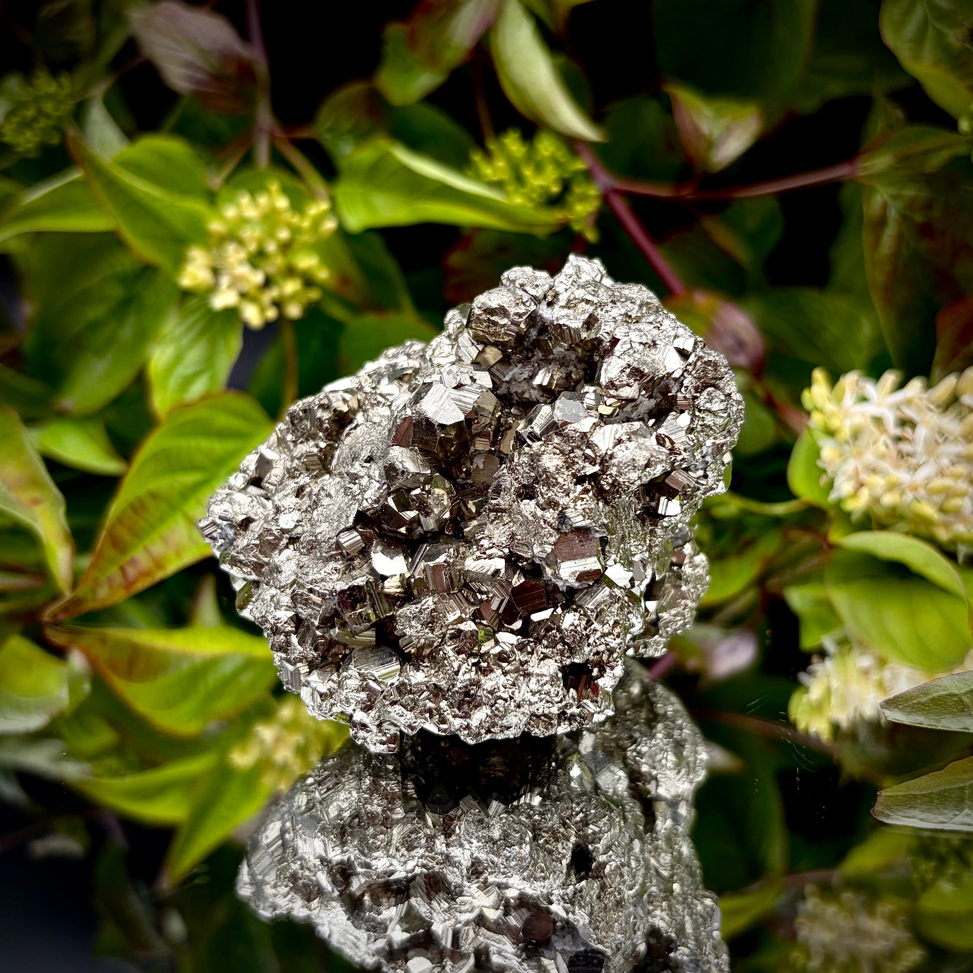View from underneath a large Pyrite cluster highlighting its bright metallic lustre.
