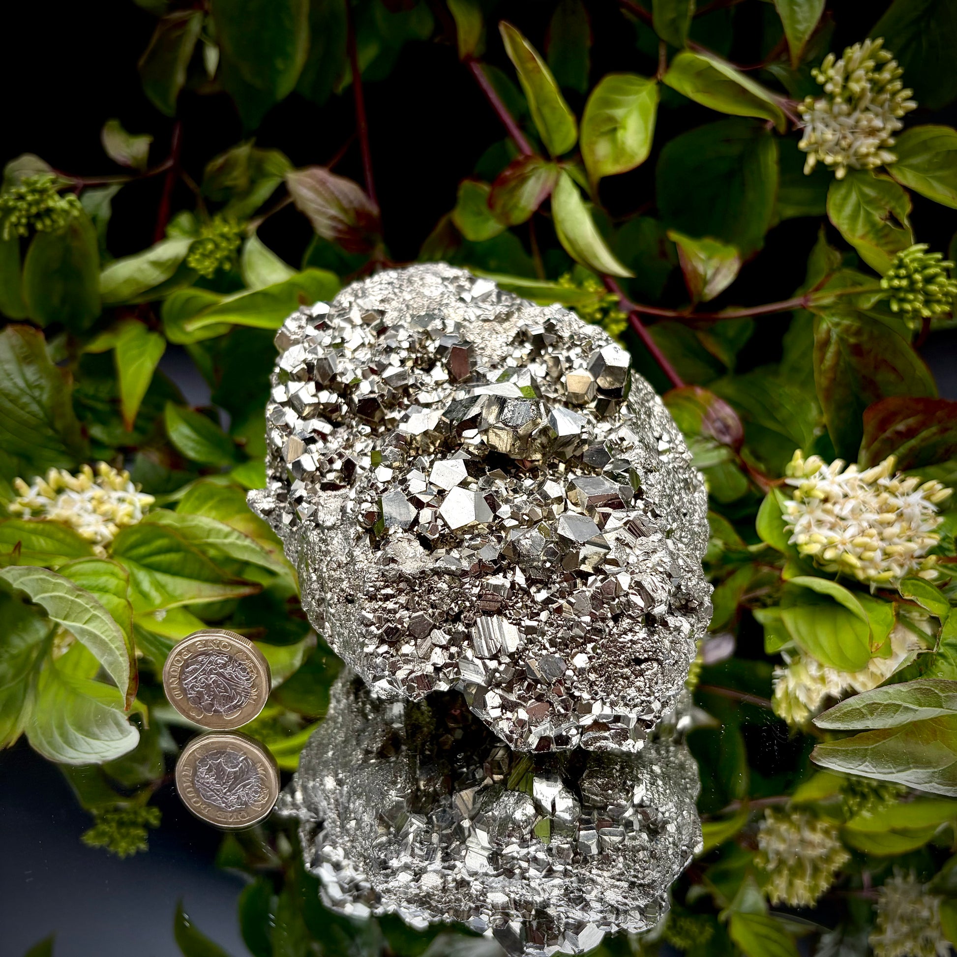 A heavy, high-lustre brass-gold Pyrite cluster displayed on a mirrored surface next to a pound coin.