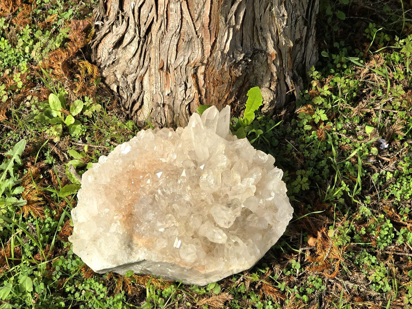 Large collector-grade Quartz crystal.