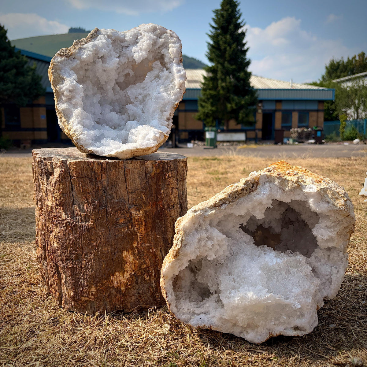 Quartz Crystal Geode displaying sparkling natural quartz formations.