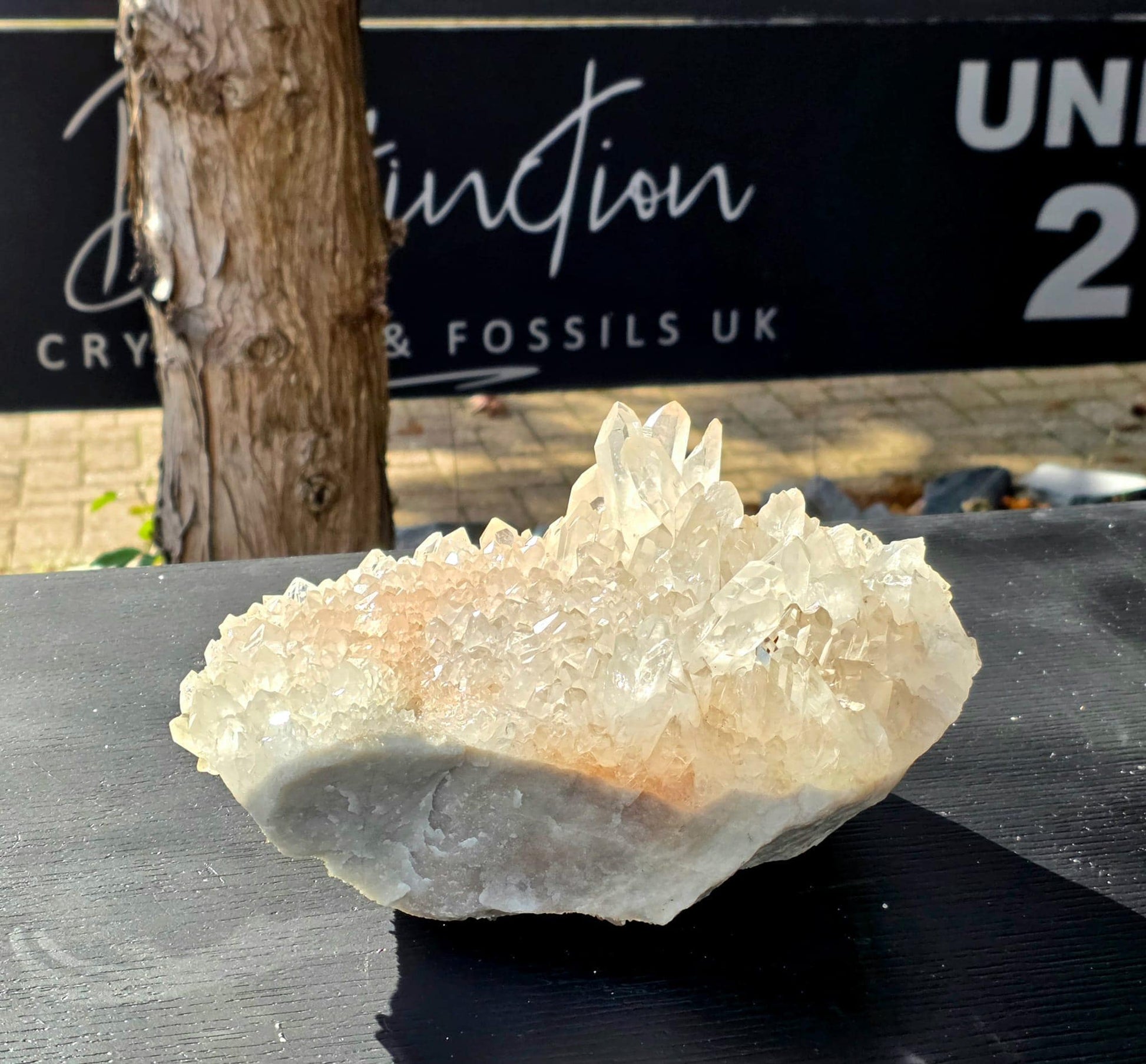 Large Quartz crystal displayed on shelf.