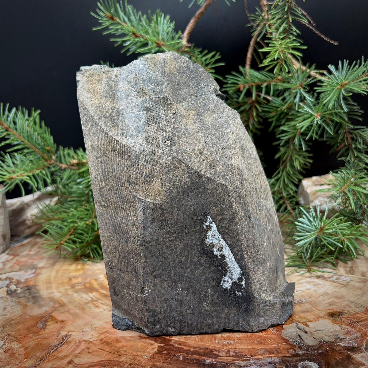 Natural Quartz Geode for interior décor