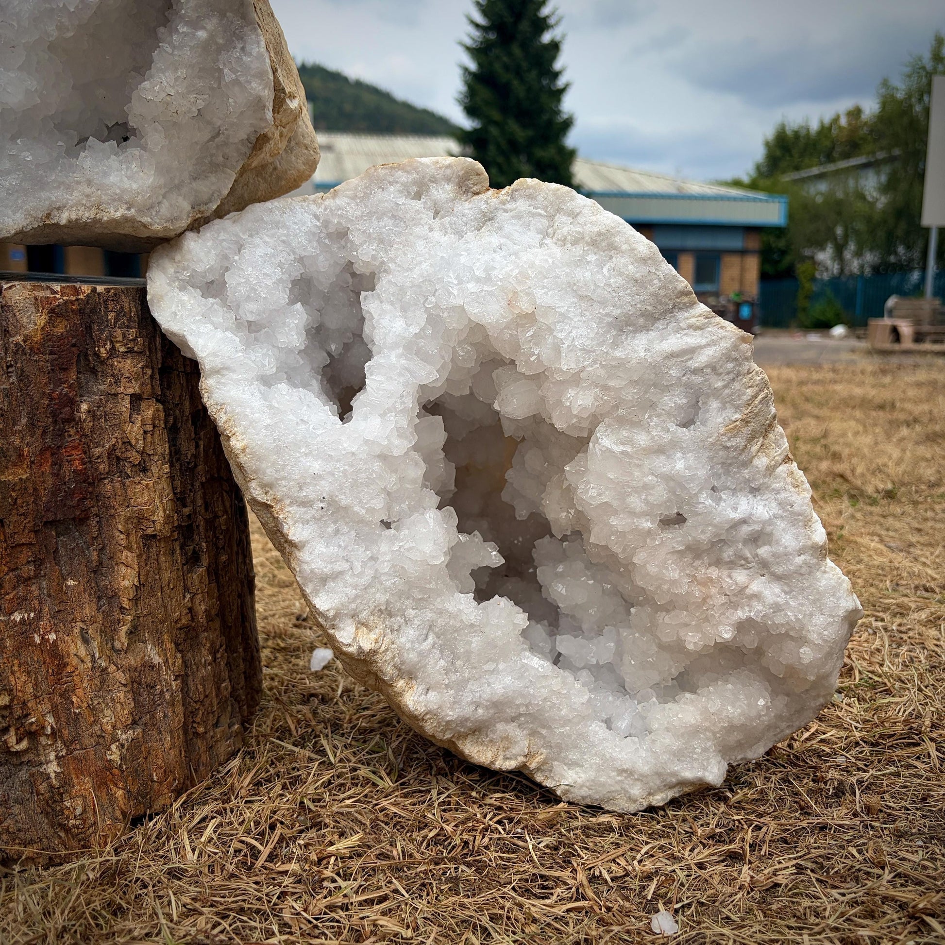 Close-up photograph showing sparkling quartz crystal formations inside a natural geode pair.