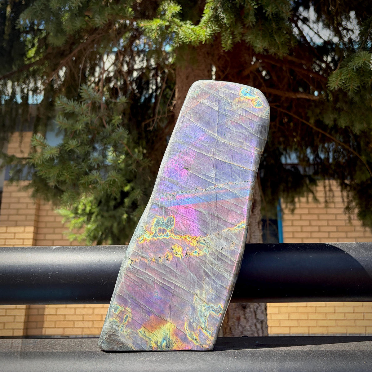 Close-up of the exceptional rainbow flash across the polished face of the Labradorite freeform.