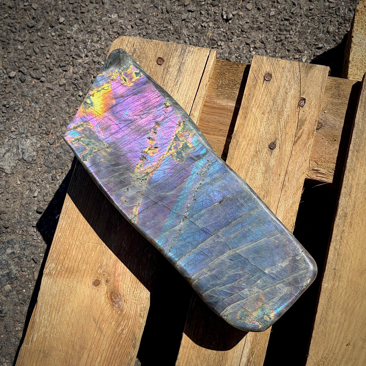 Statement Labradorite crystal freeform displayed to highlight its exceptional colour and polished finish.