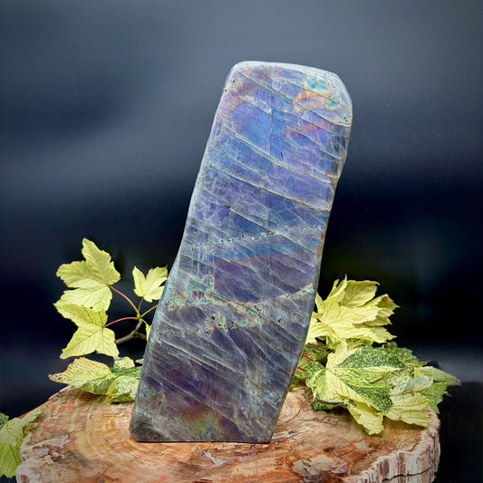 Exceptional 8.1kg rainbow flash Labradorite freeform from Madagascar with vibrant multicoloured labradorescence.