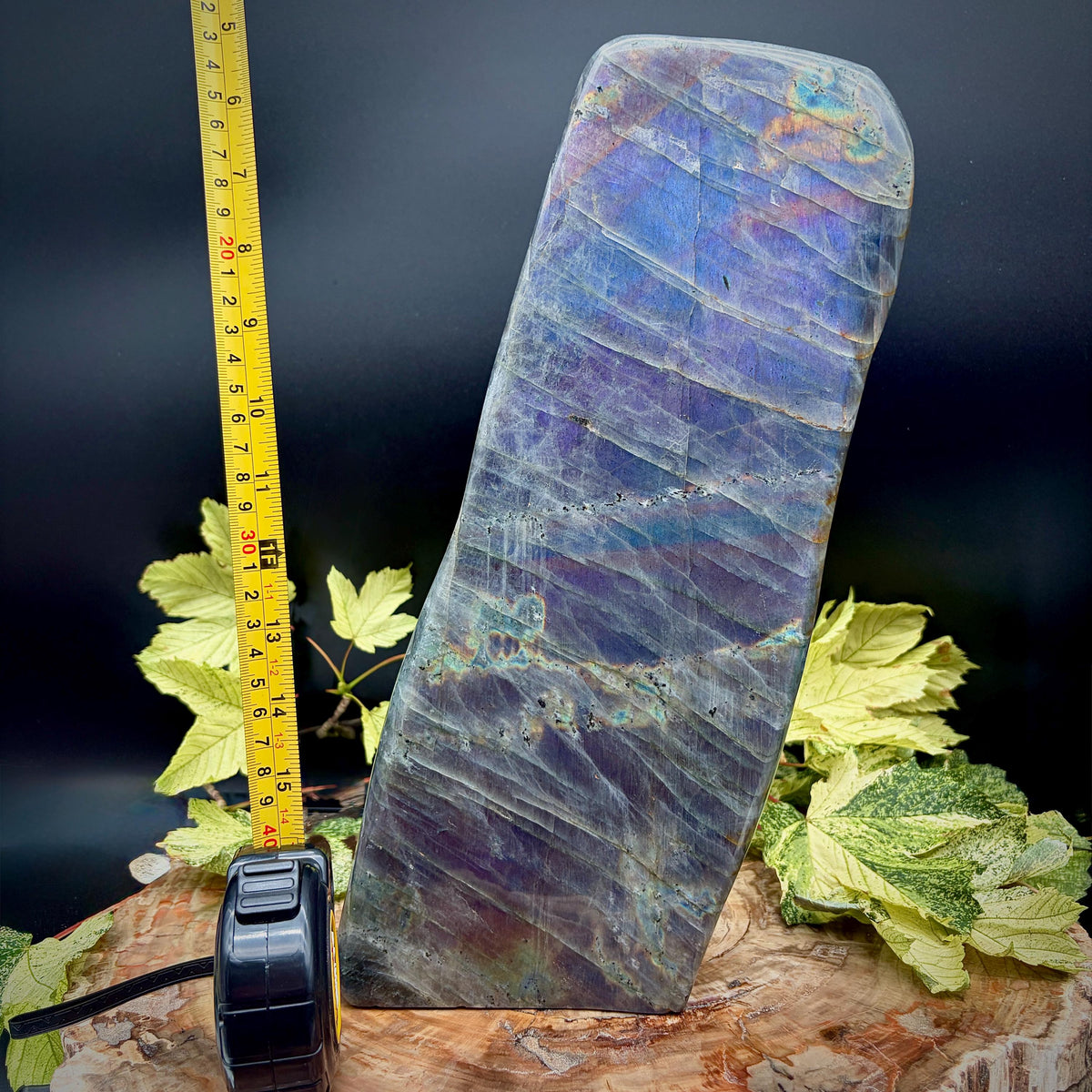 Angled view of the one-of-a-kind Labradorite freeform showcasing vivid blue, purple, gold and orange flashes.