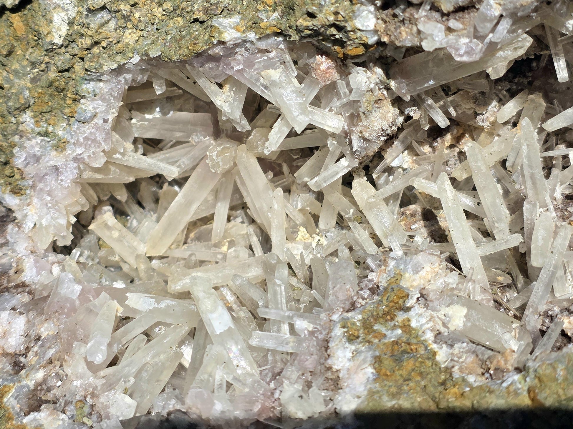 Rare Aragonite specimen highlighting exceptional natural beauty.