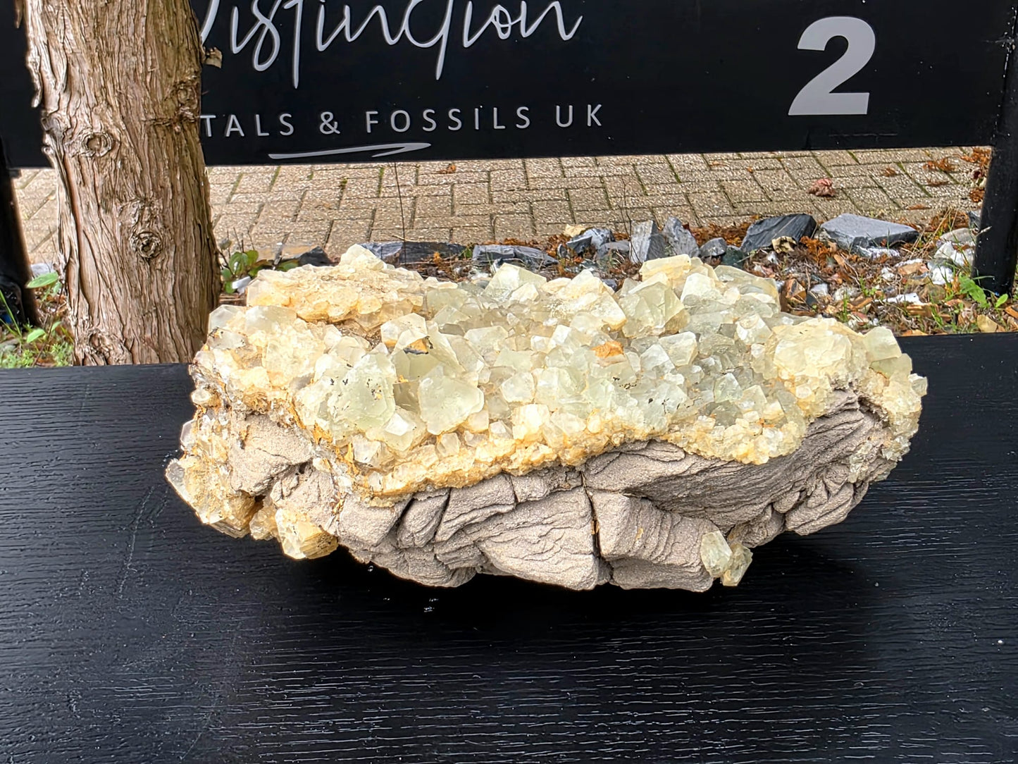 Green fluorite crystal glowing purple under UV light – fluorescent display.