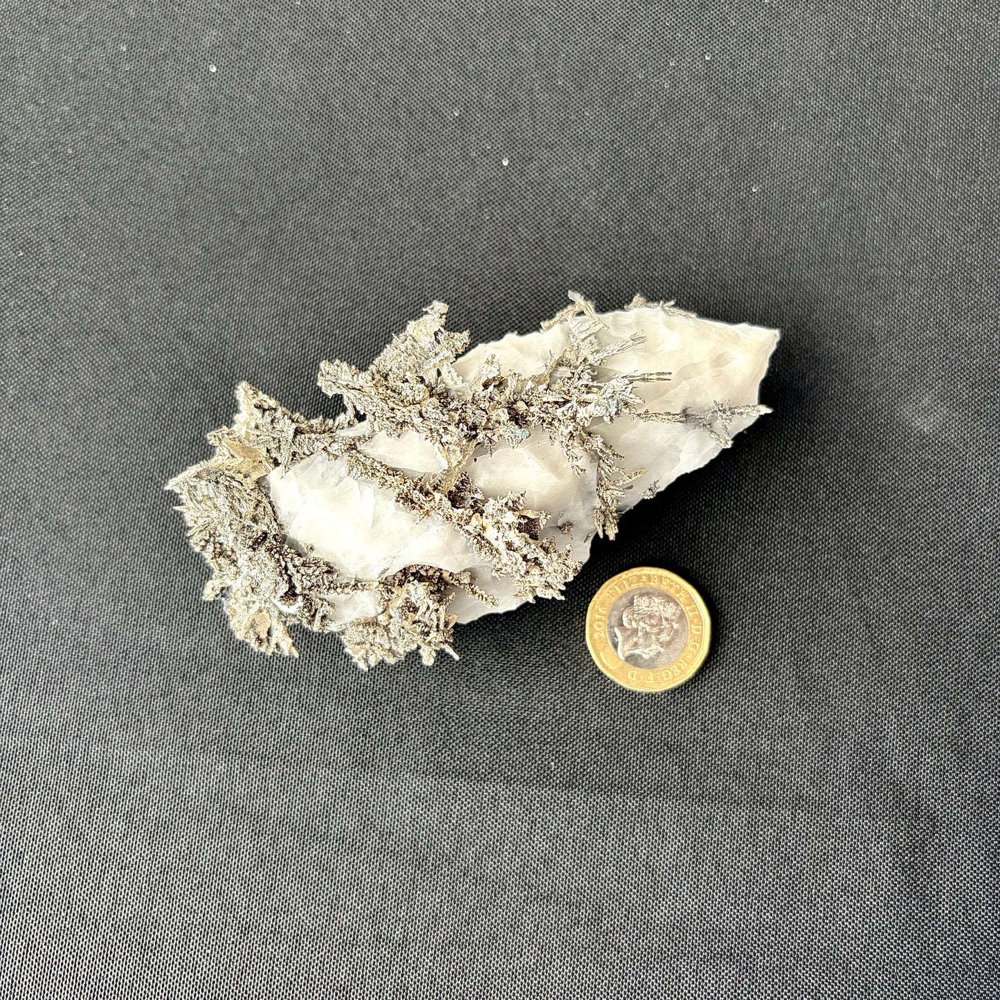 Showcase view of Native Silver crystal growth patterns against a neutral background.