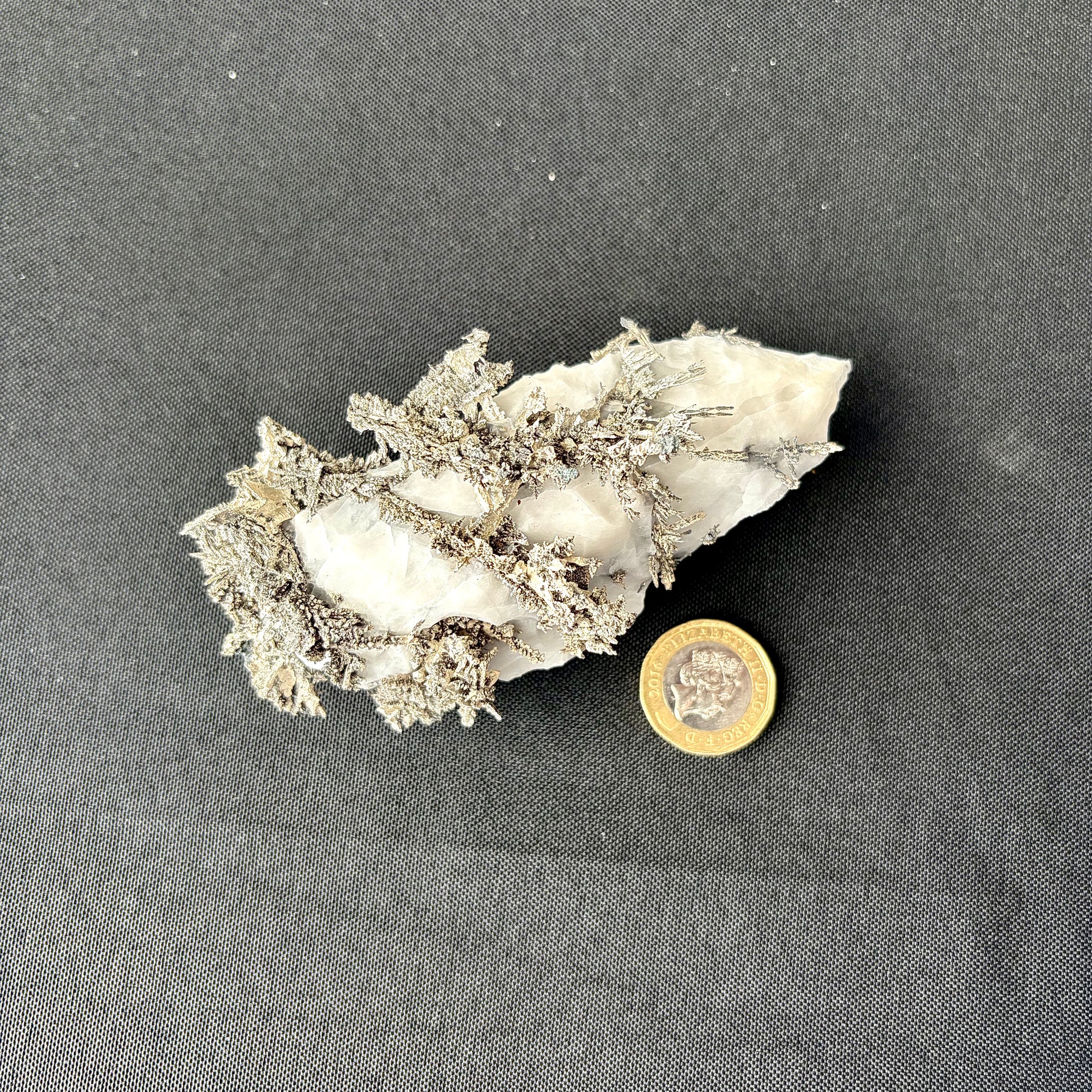 Showcase view of Native Silver crystal growth patterns against a neutral background.