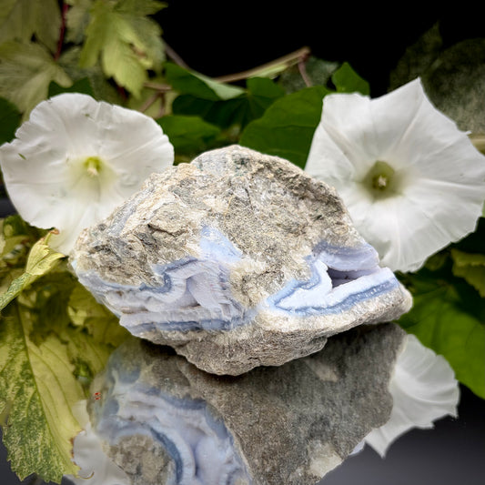 Natural Blue Lace Agate geode specimen with a prominent hollow cavity showing off light blue crystalline bands.