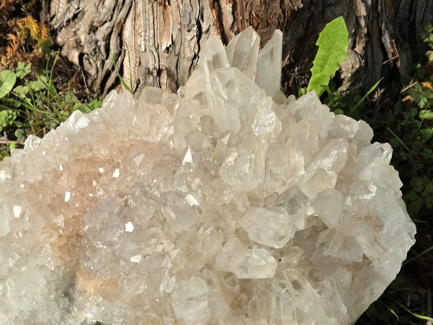 Natural raw Quartz crystal specimen.