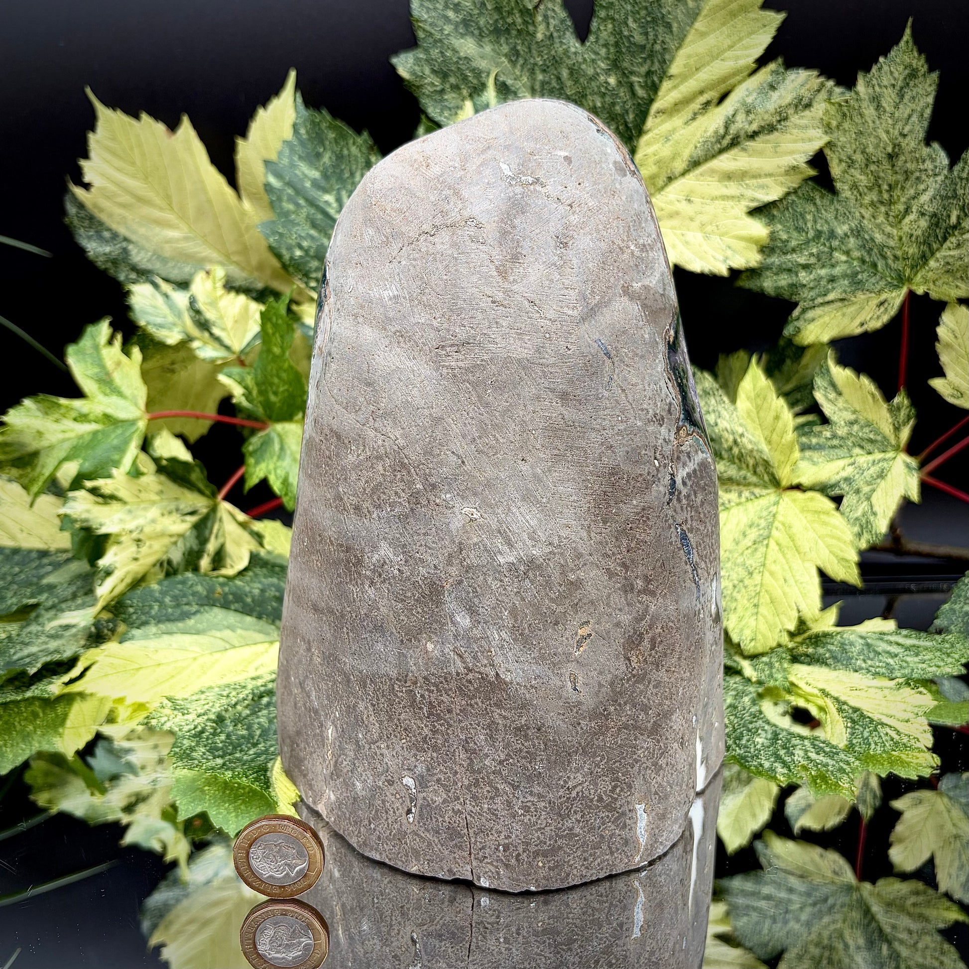 Reverse side of an Uruguayan amethyst crystal freeform showing the matrix and mineral formation.