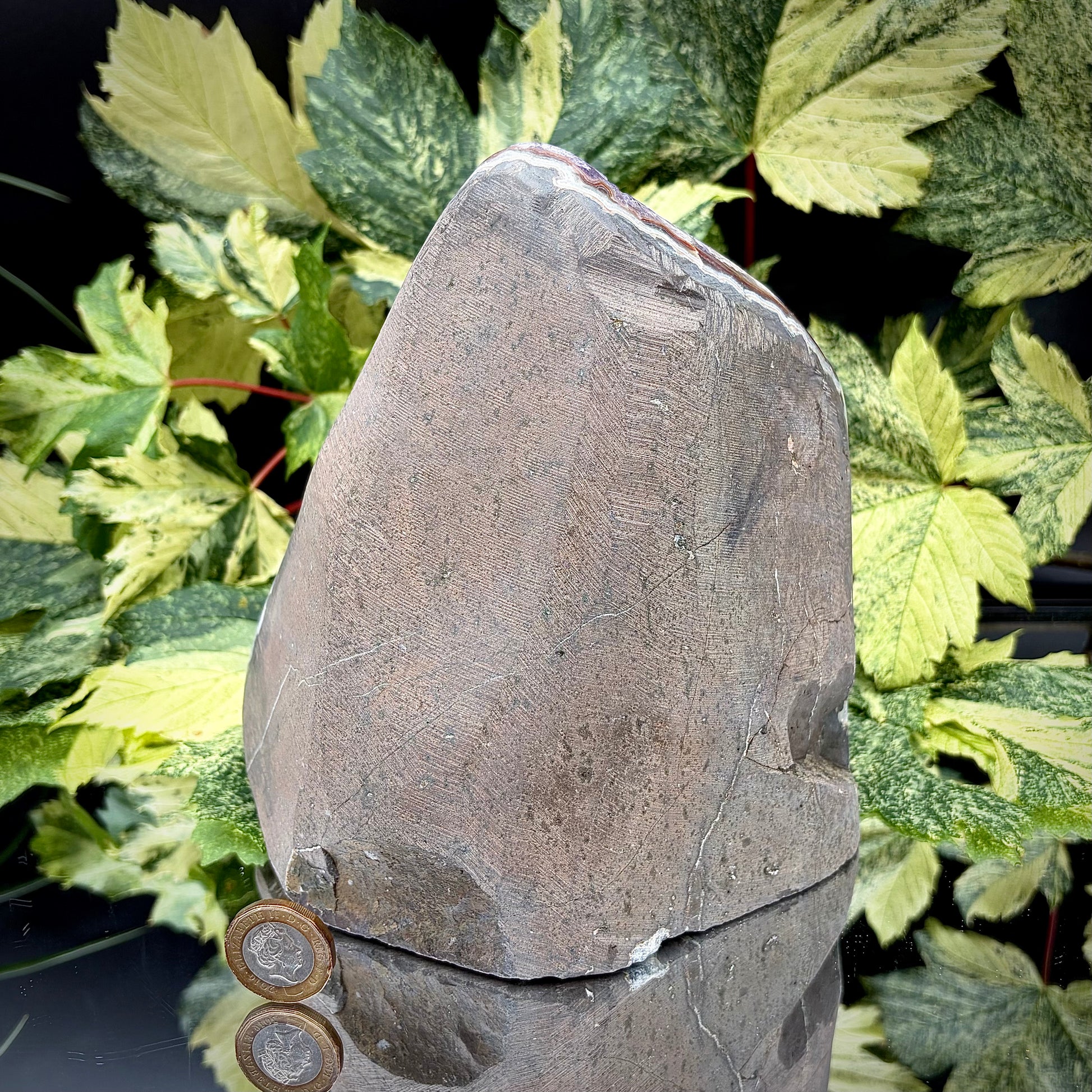 Reverse side of an Uruguayan amethyst crystal freeform showing the matrix and mineral formation.