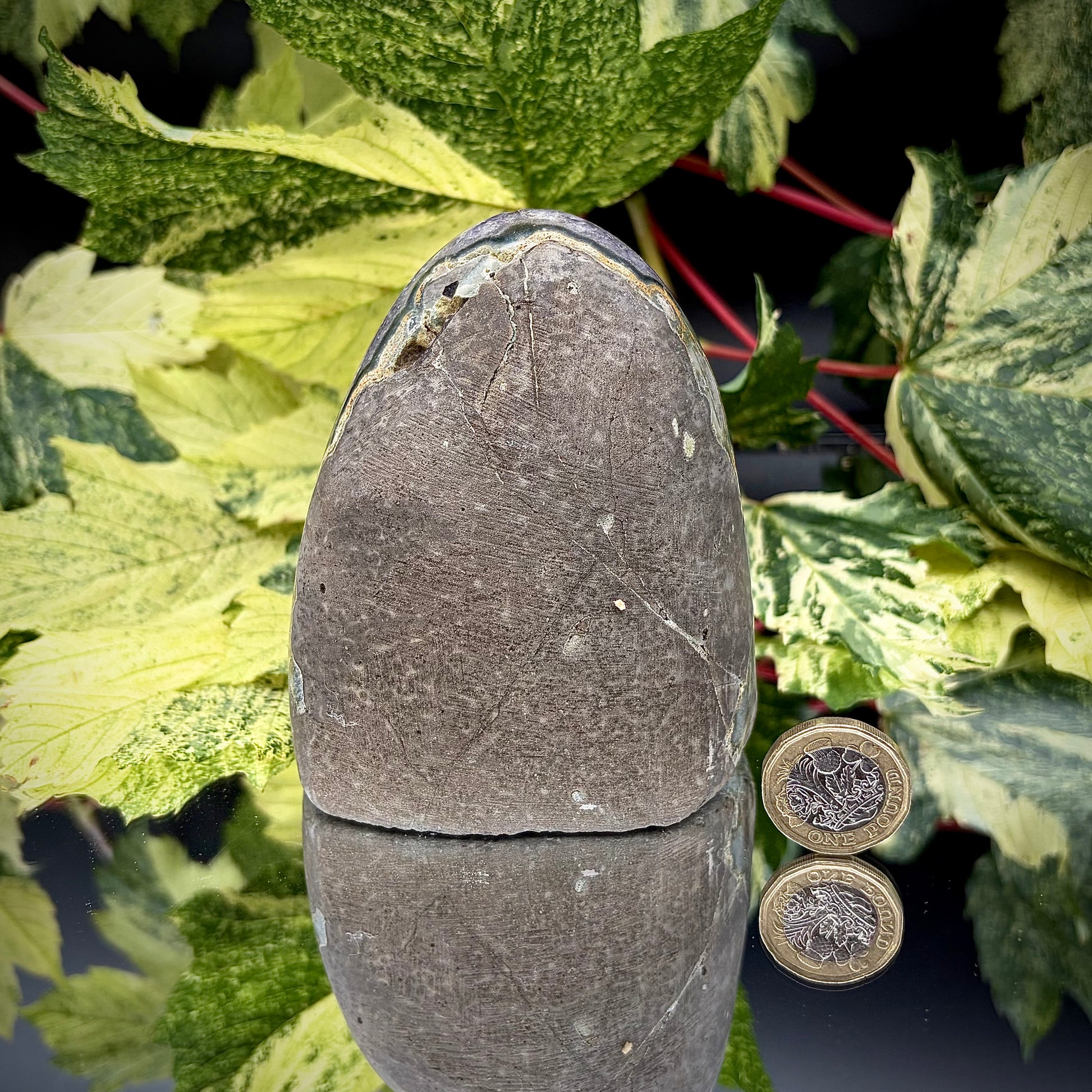 Reverse side of a Uruguayan amethyst crystal freeform showing the matrix and mineral formation.