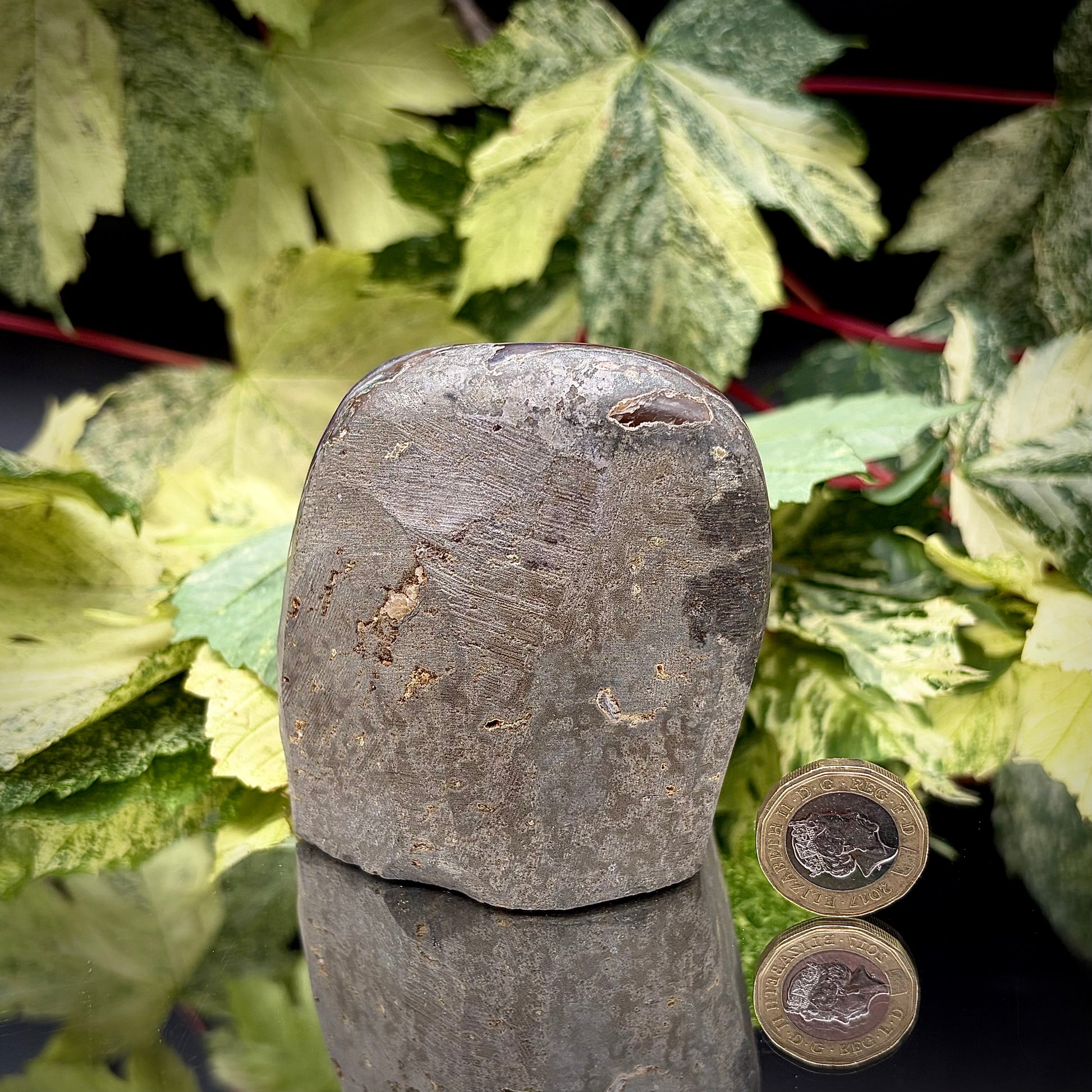 Reverse side of an Uruguayan amethyst crystal freeform showing the matrix and mineral formation.