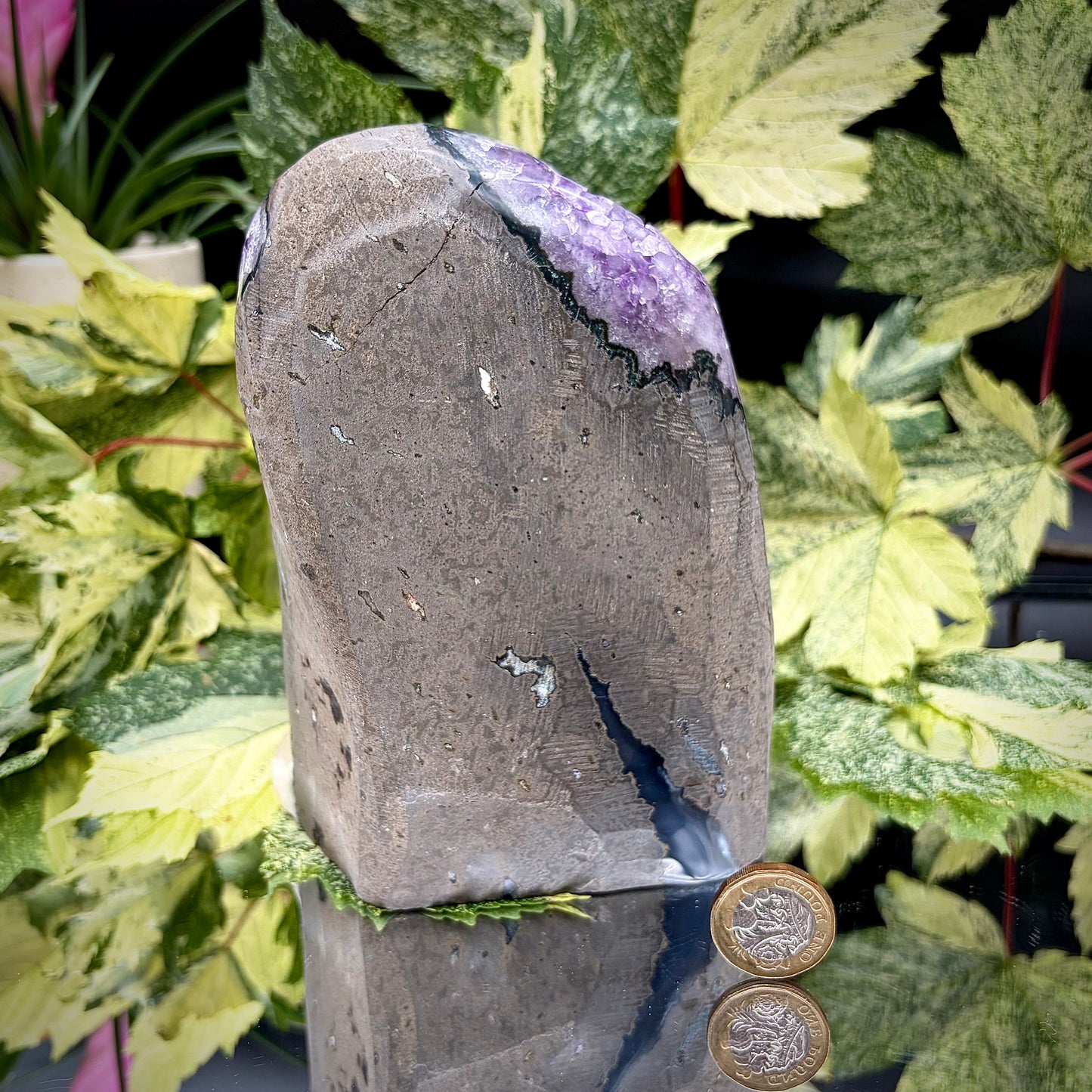Reverse side of an Uruguayan amethyst crystal freeform showing the matrix and mineral formation.