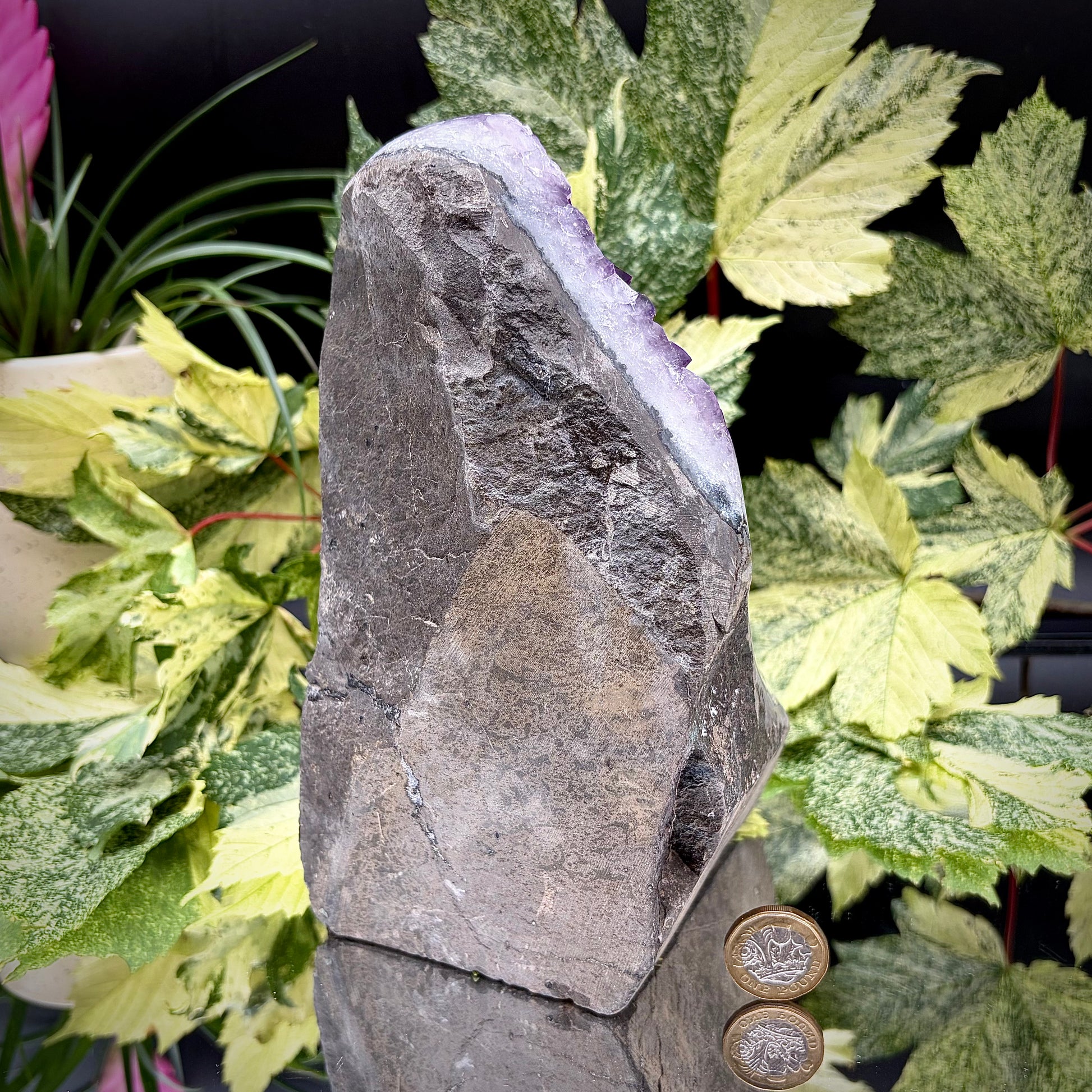 Reverse side of an Uruguayan amethyst crystal freeform showing the matrix and mineral formation.