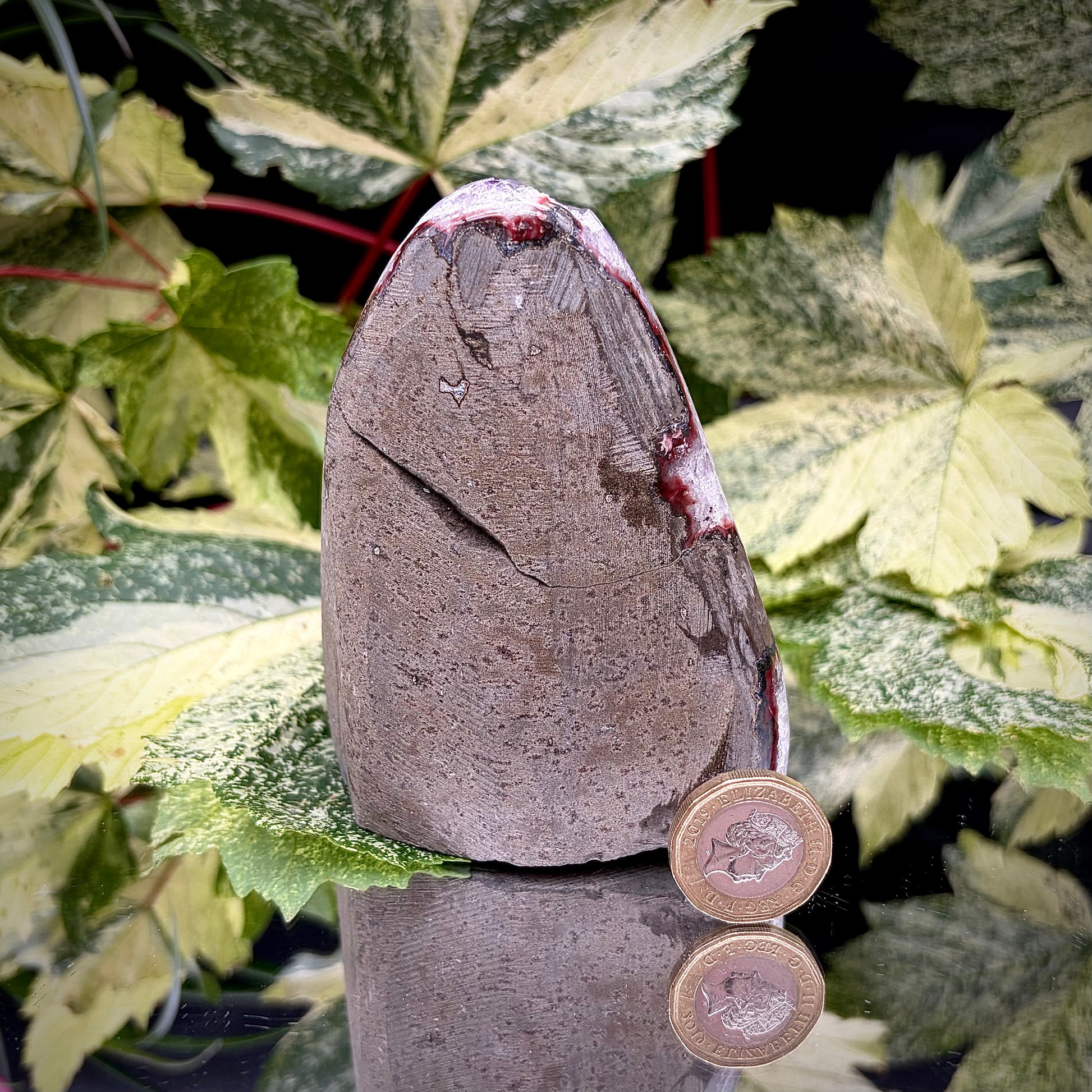 Reverse side of an Uruguayan amethyst crystal freeform showing the matrix and mineral formation.