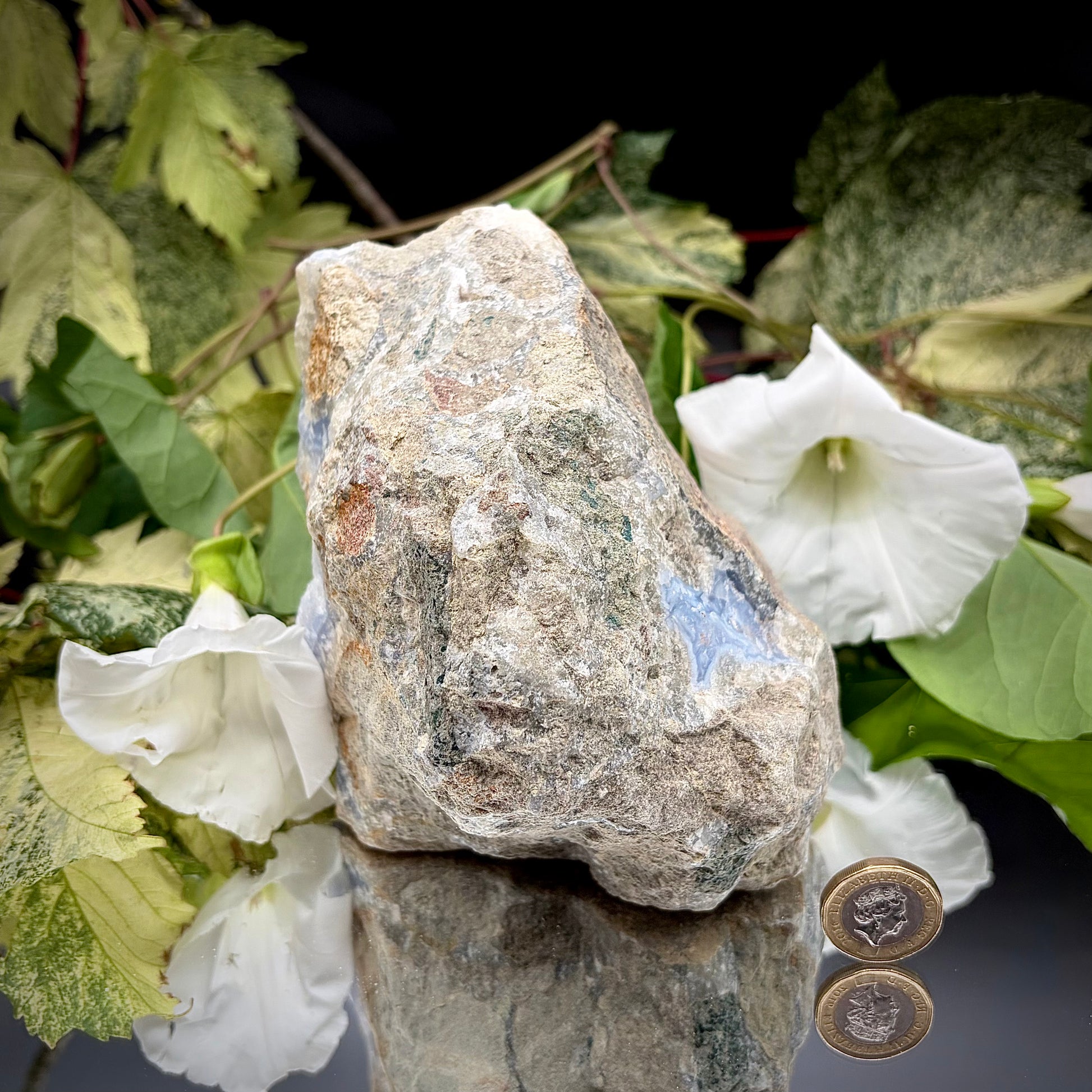The rear side view of the Blue Lace Agate specimen, showcasing the rough, natural grey host rock and organic matrix texture.