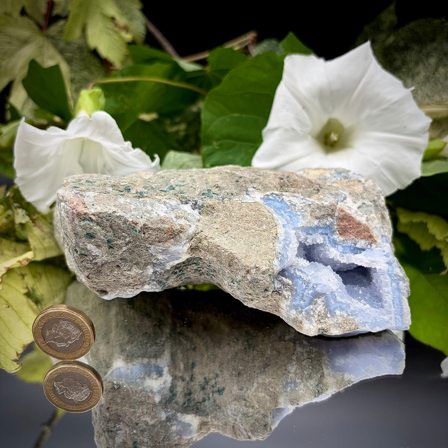 The rear side view of the Blue Lace Agate specimen, showcasing the rough, natural grey host rock and organic matrix texture.