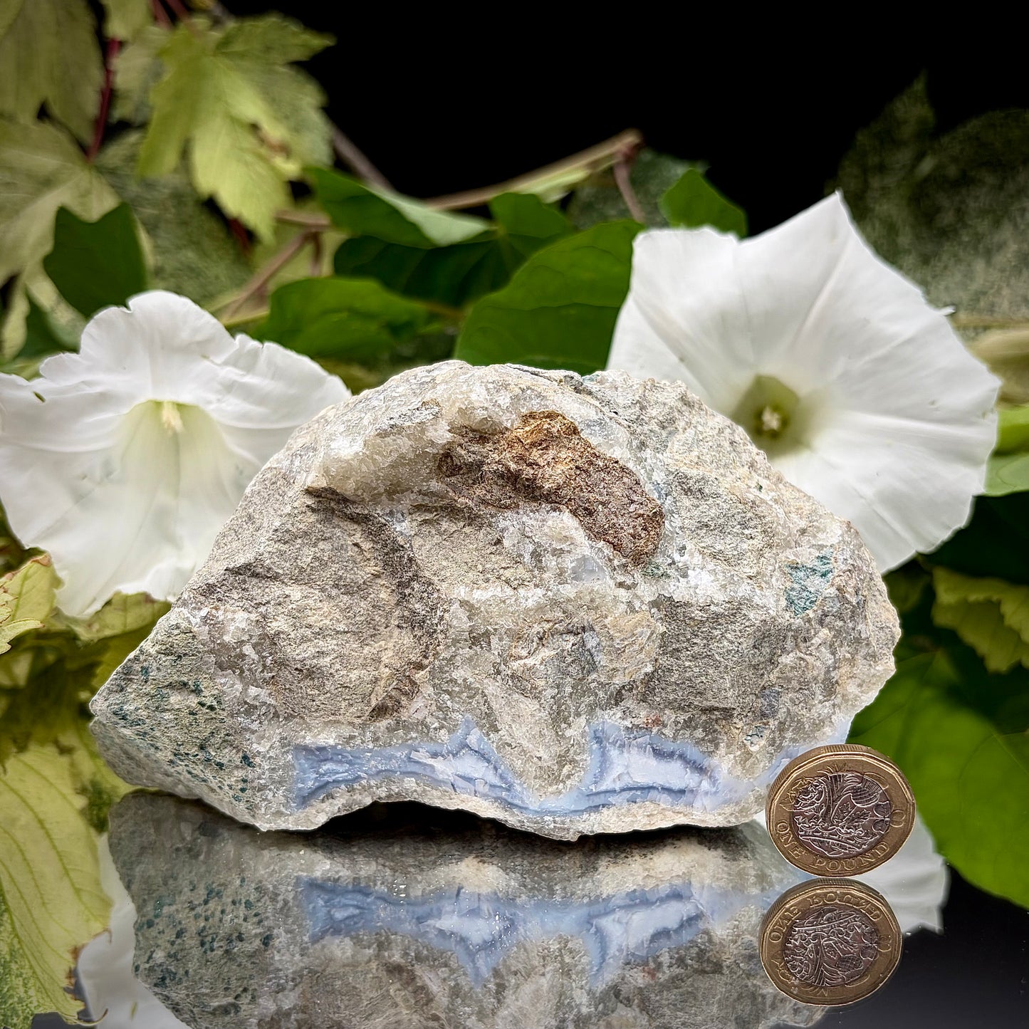 The rear side view of the Blue Lace Agate specimen, showcasing the rough, natural grey host rock and organic matrix texture.