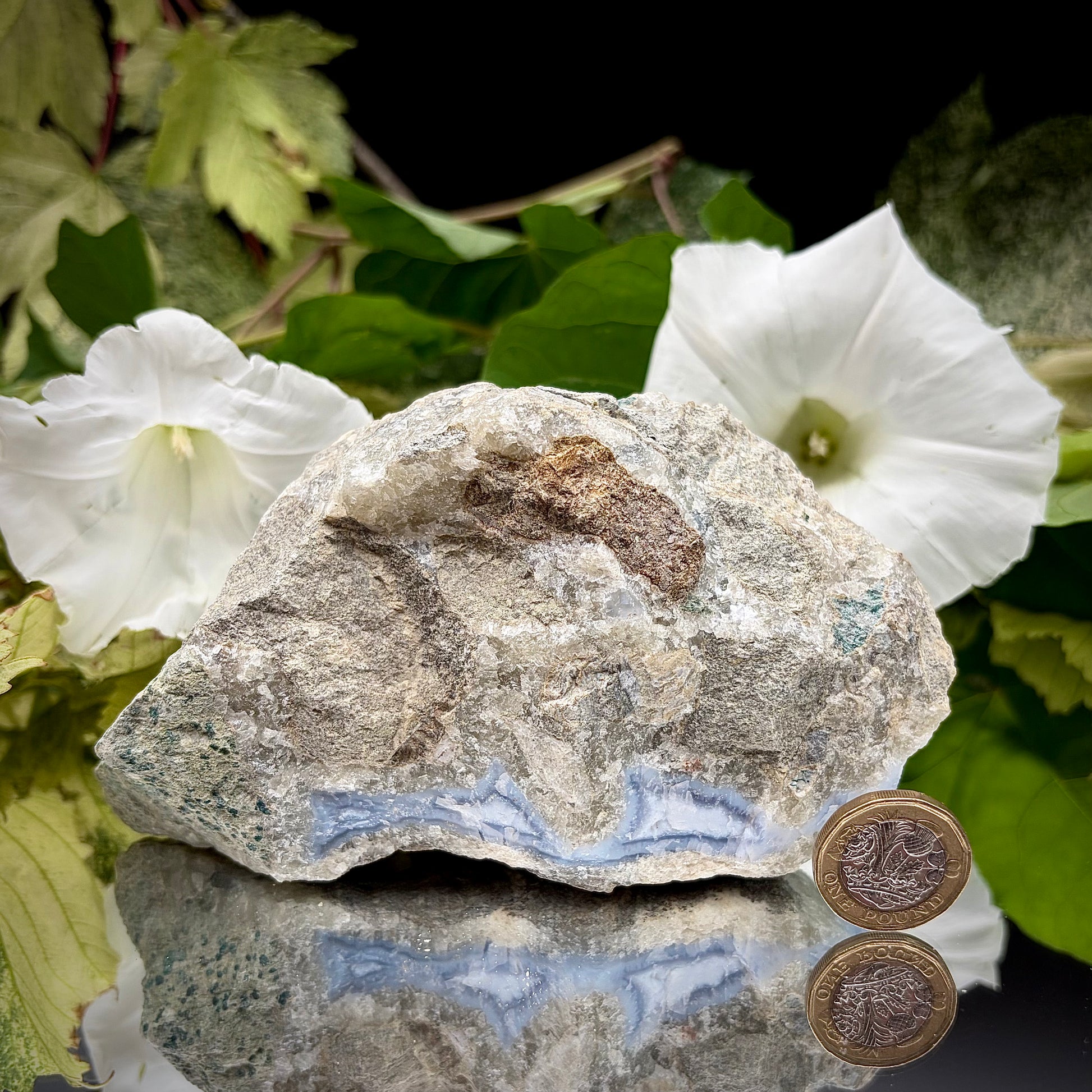 The rear side view of the Blue Lace Agate specimen, showcasing the rough, natural grey host rock and organic matrix texture.