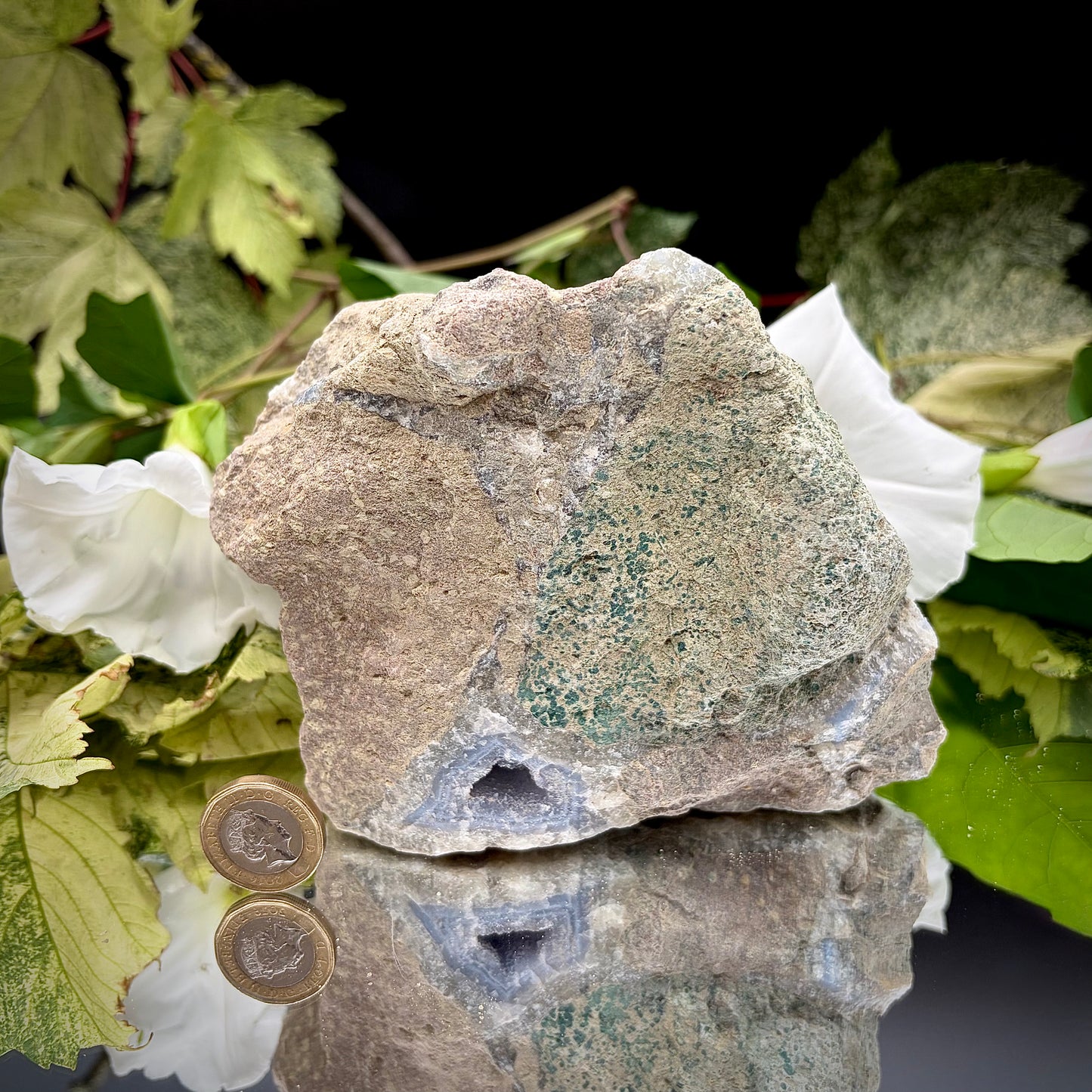 The rear side view of the Blue Lace Agate specimen, showcasing the rough, natural grey host rock and organic matrix texture.