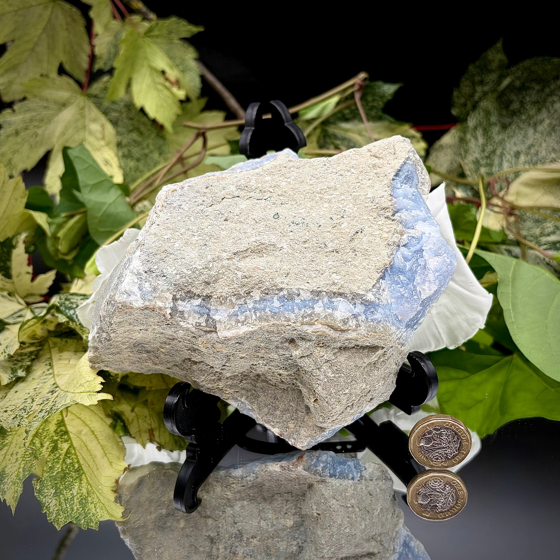 The rear side view of the Blue Lace Agate specimen, showcasing the rough, natural grey host rock and organic matrix texture.