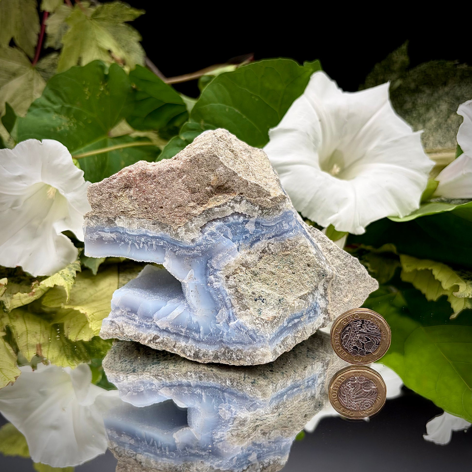 The rear side view of the Blue Lace Agate specimen, showcasing the rough, natural grey host rock and organic matrix texture.