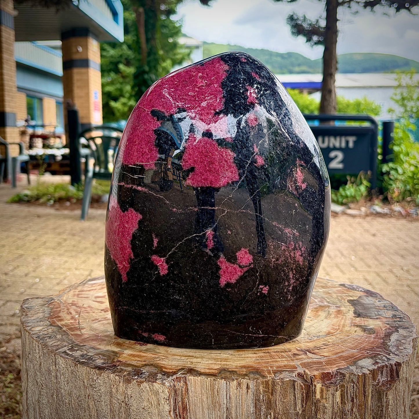 The reverse side of a polished rhodonite freeform crystal standing on a wooden stump.
