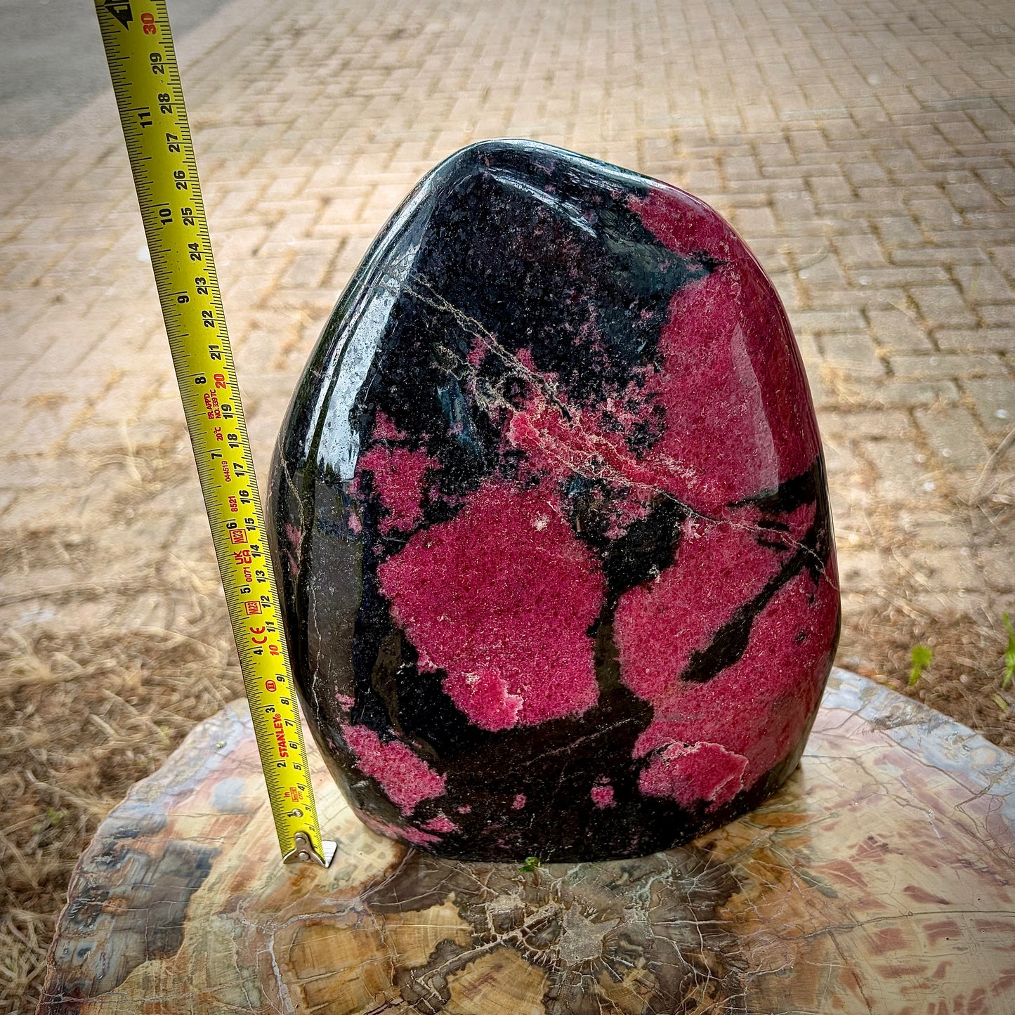 A polished rhodonite freeform crystal standing next to a yellow measuring tape to indicate the height and width dimensions of the specimen.