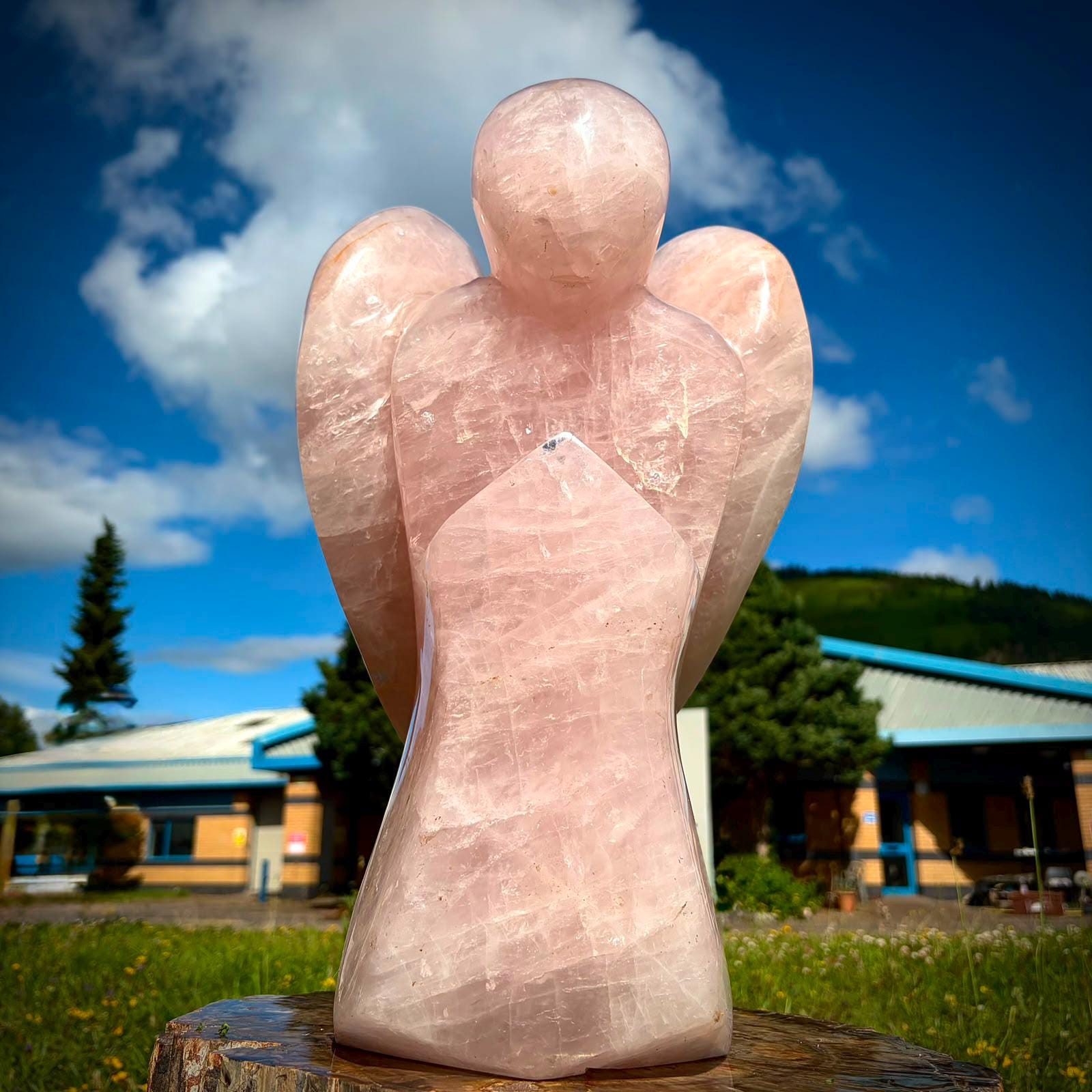 Statement Rose Quartz angel carving for elegant crystal décor and collector interiors.