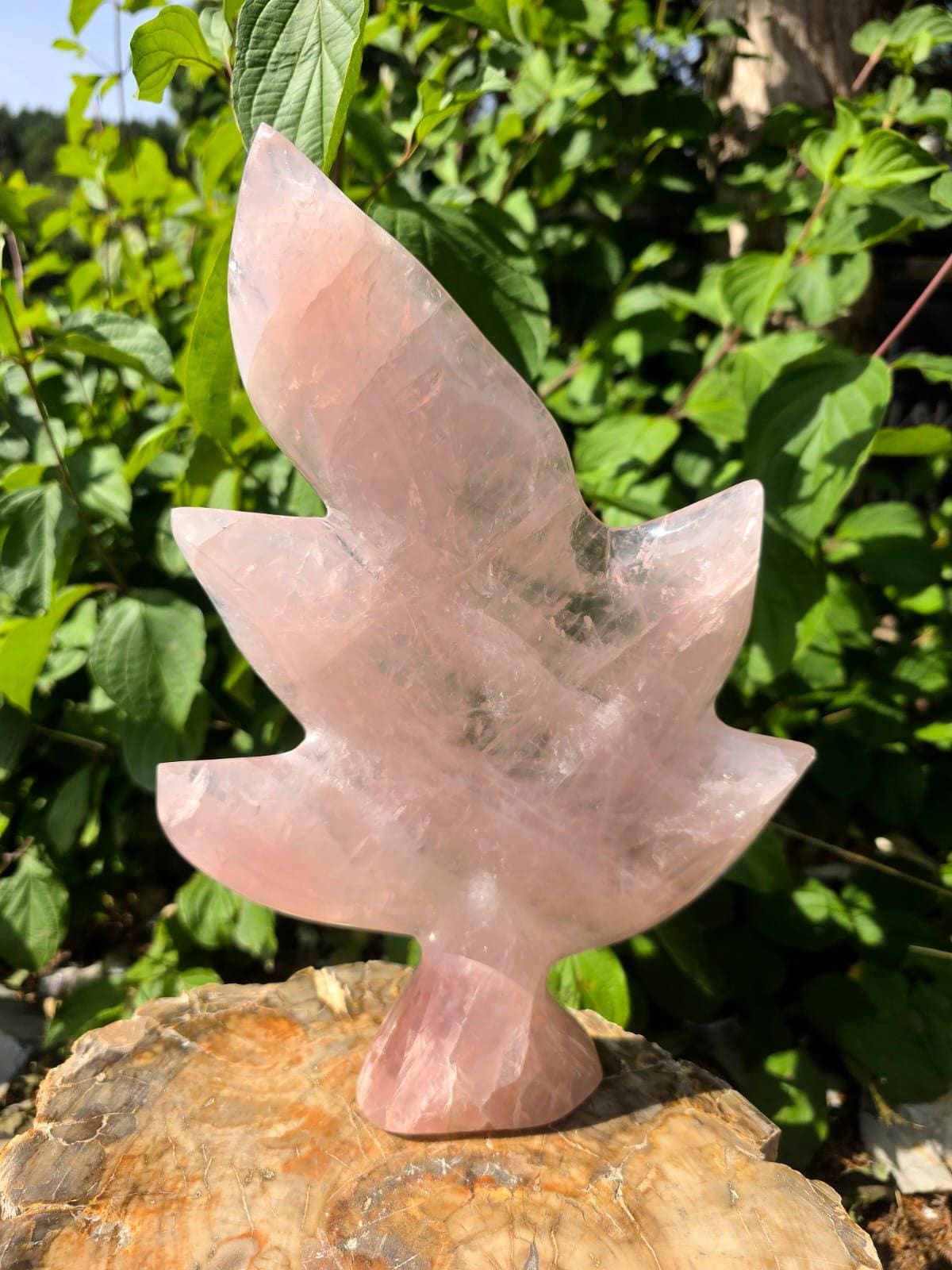Rear view of a one-of-a-kind Rose Quartz leaf sculpture displaying natural colour variations.