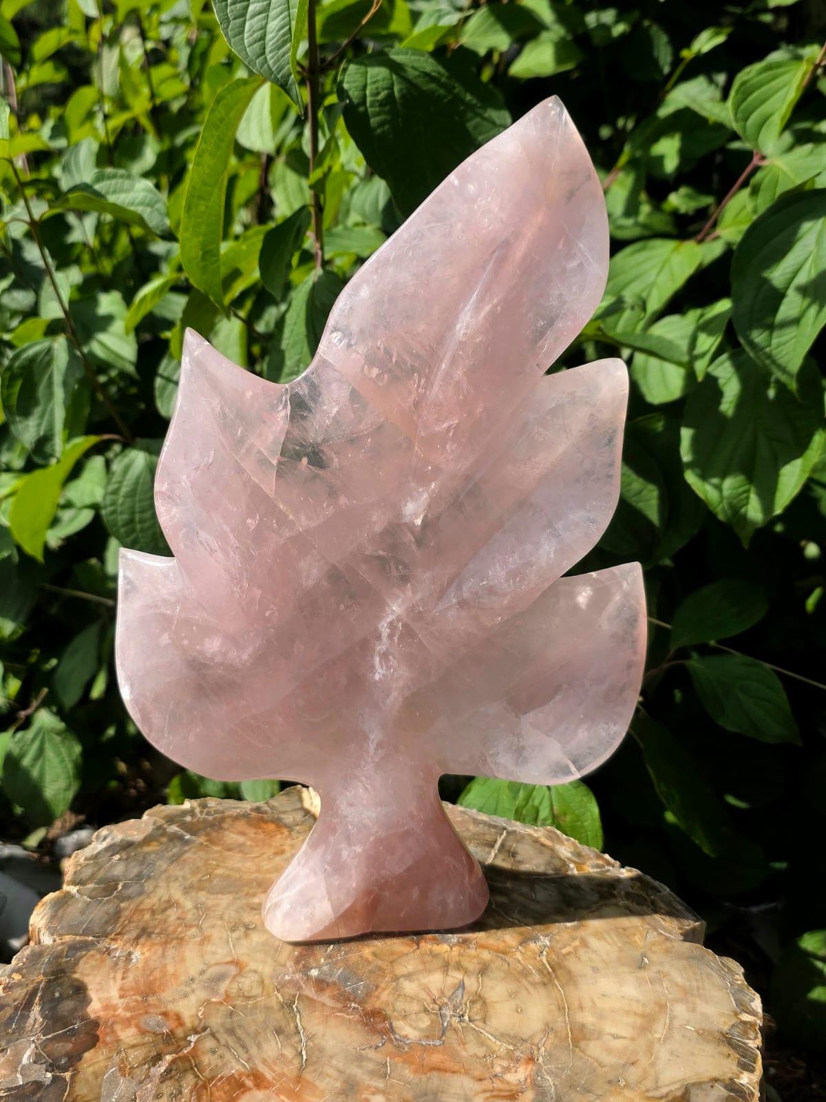 Side profile of a freestanding Rose Quartz crystal leaf with elegant botanical design.