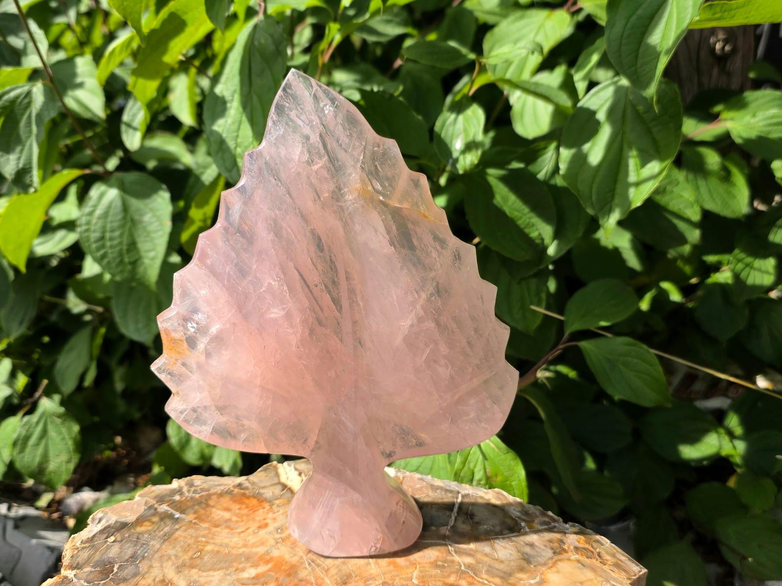 Rose Quartz crystal leaf sculpture with elegant polished botanical design.