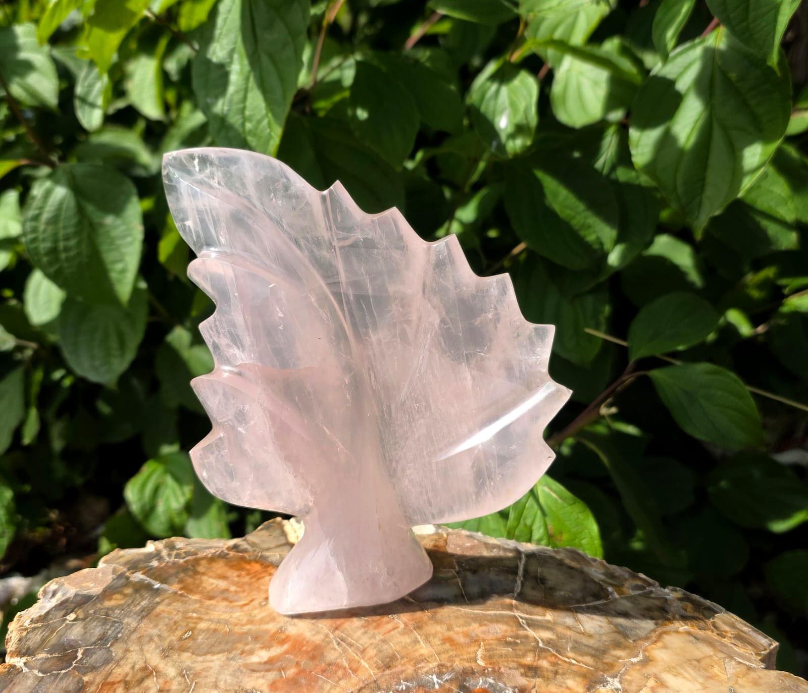 Elegant Rose Quartz leaf sculpture displayed as botanical décor.