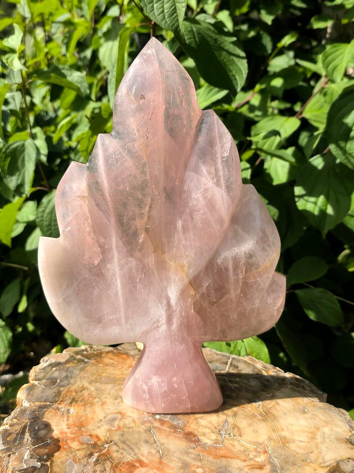 Front view of a polished Rose Quartz leaf sculpture showcasing elegant botanical design.