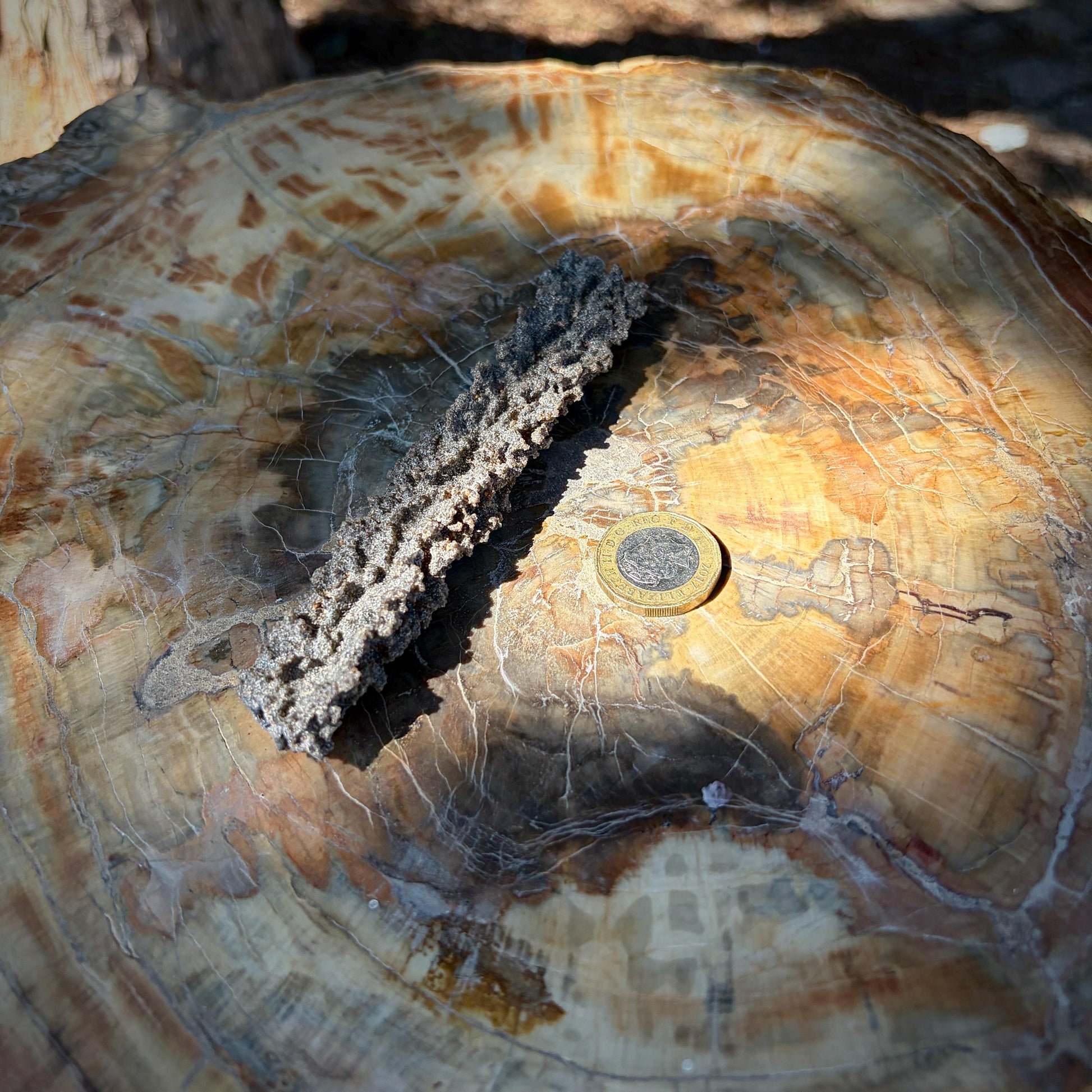 Side profile of a Sahara Fulgurite showing its naturally irregular structure.