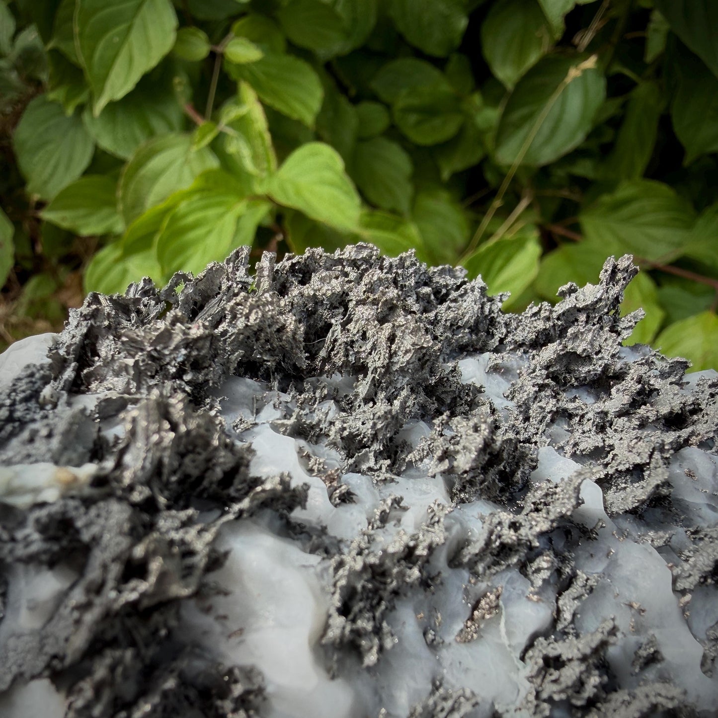 Sculptural Native Silver growth across natural Calcite matrix