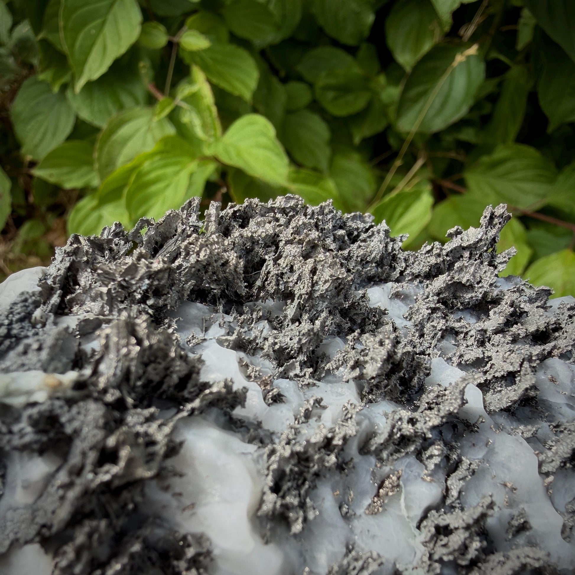Sculptural Native Silver growth across natural Calcite matrix