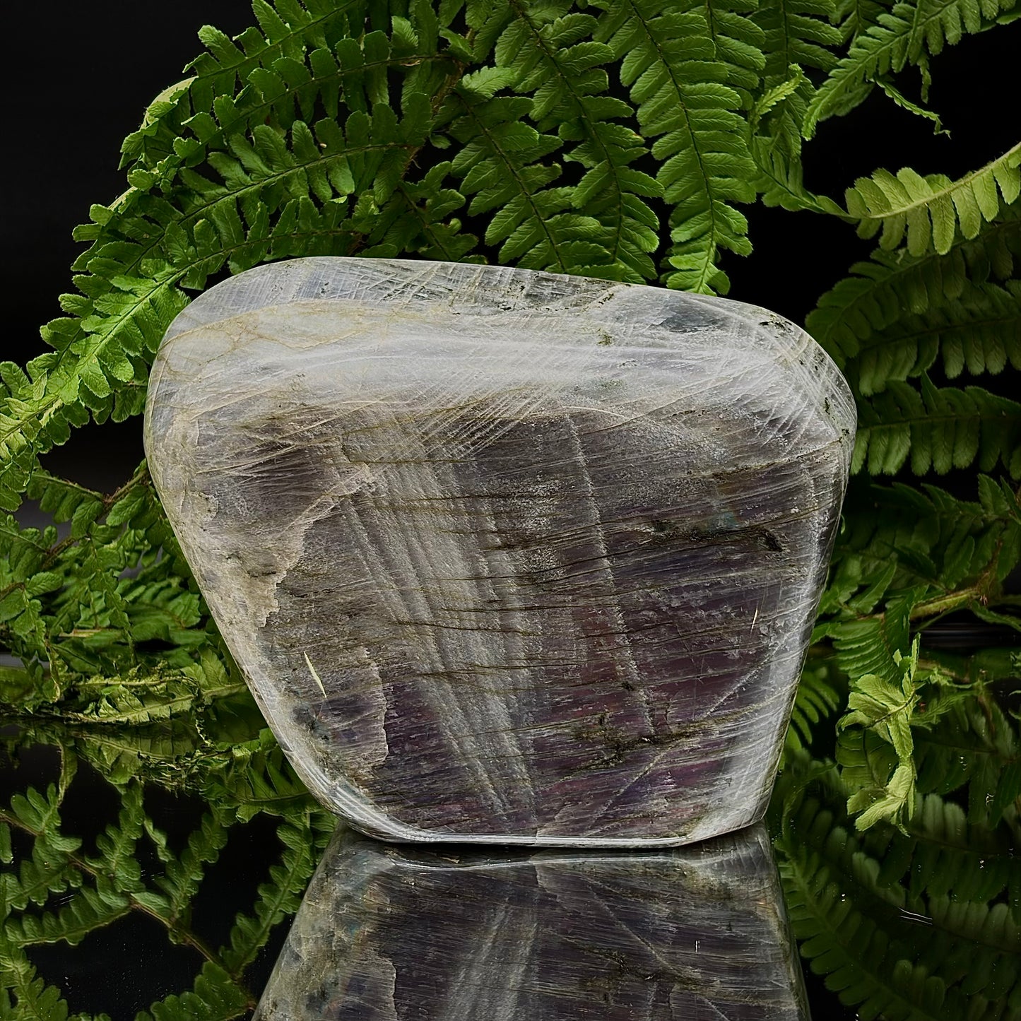 Back profile of a hand-polished purple labradorite standing freeform with deep purple hues.