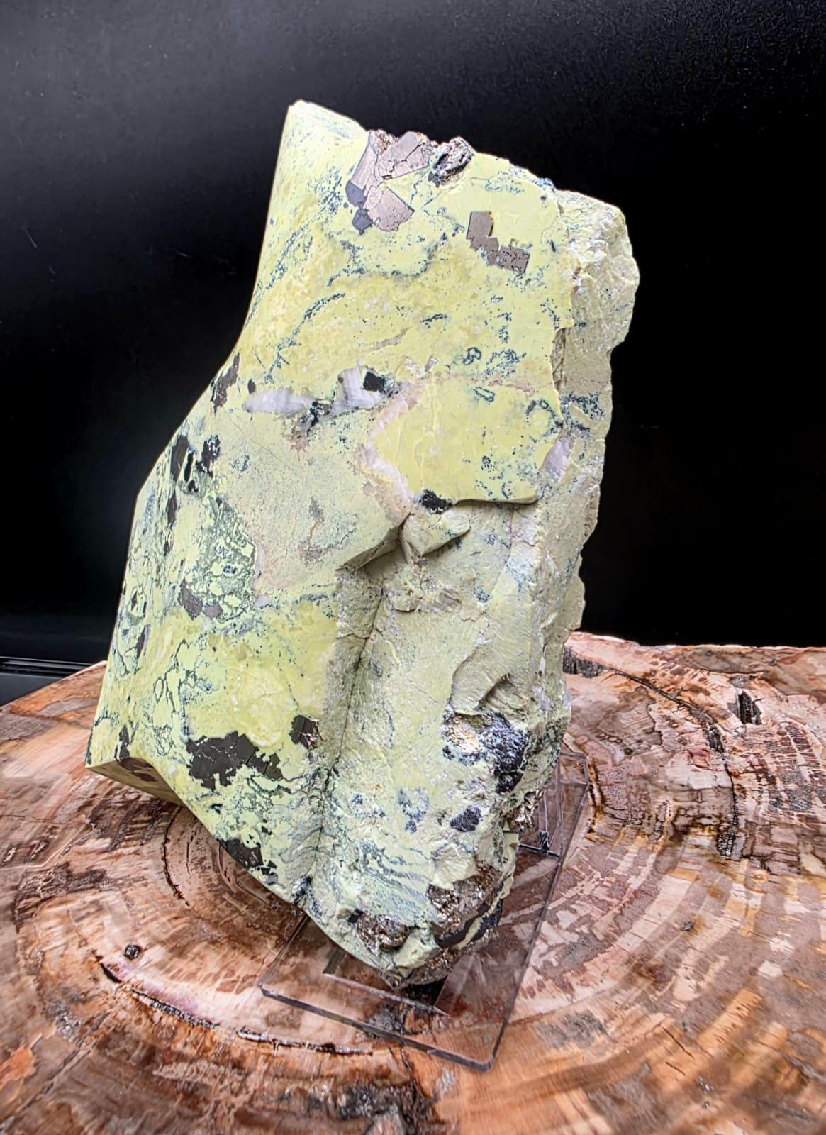 Semi-polished Green Serpentine specimen with exposed Pyrite