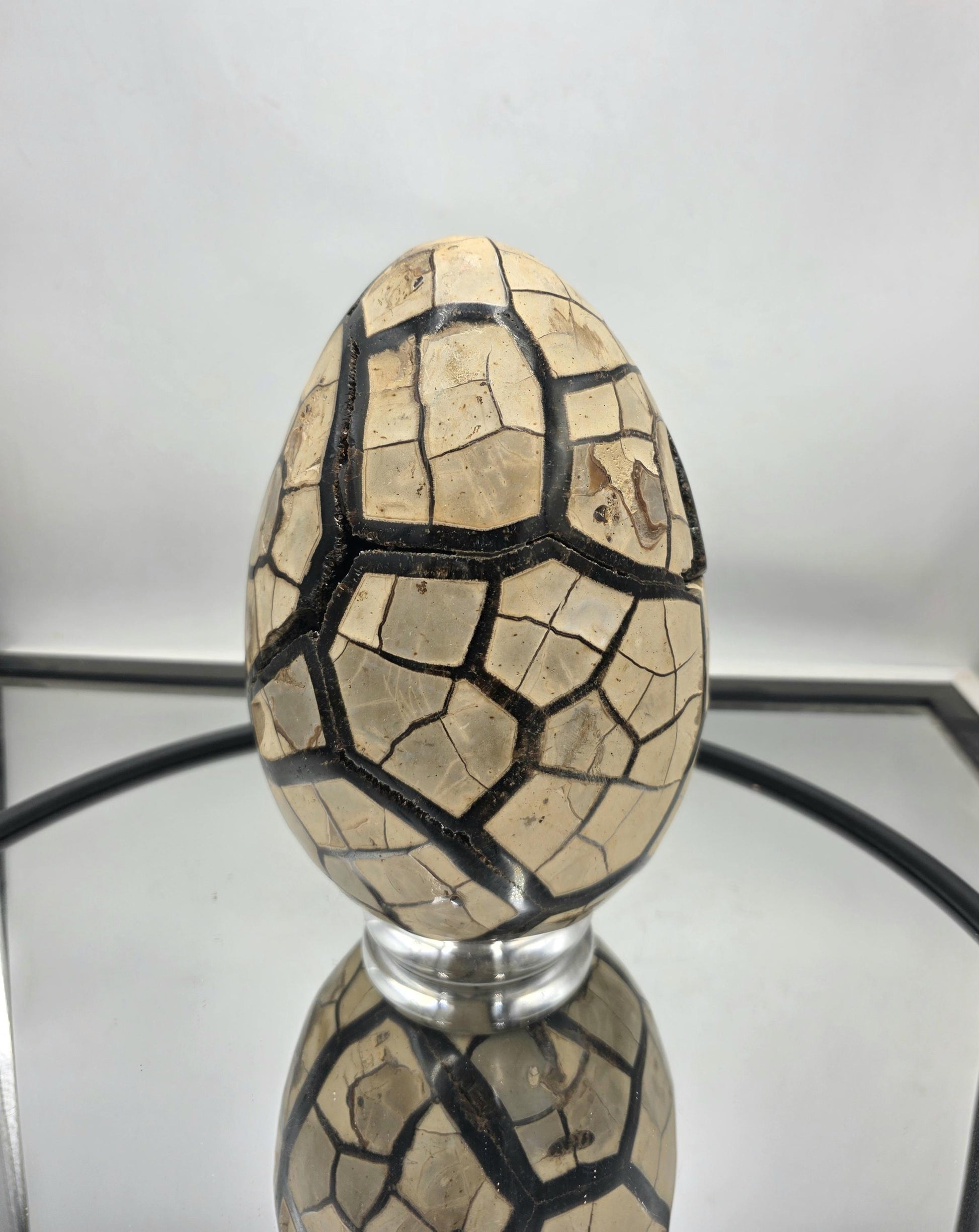 Septarian crystal egg showcasing internal patterns.