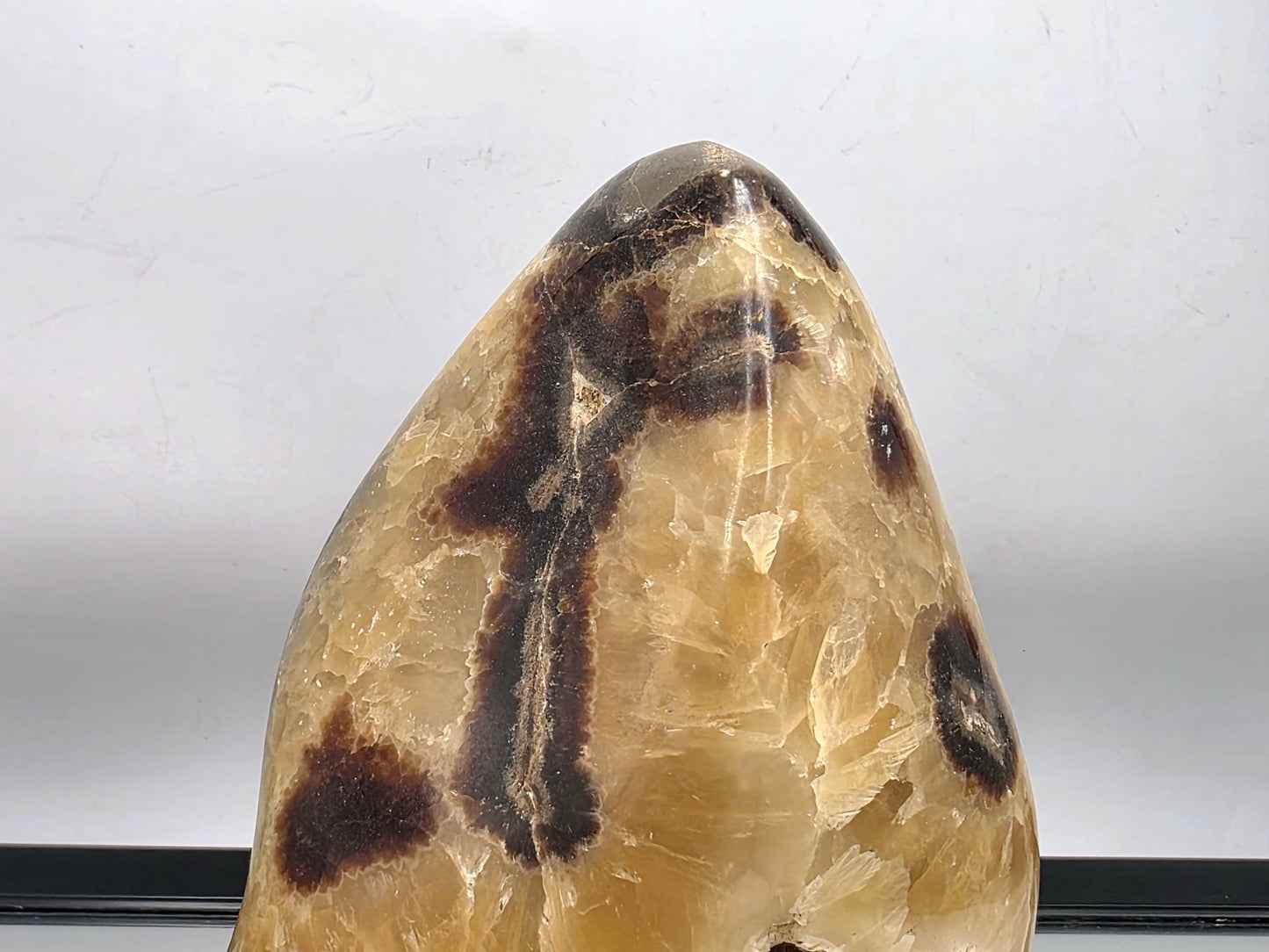 Septarian extra large polished crystal freeform.