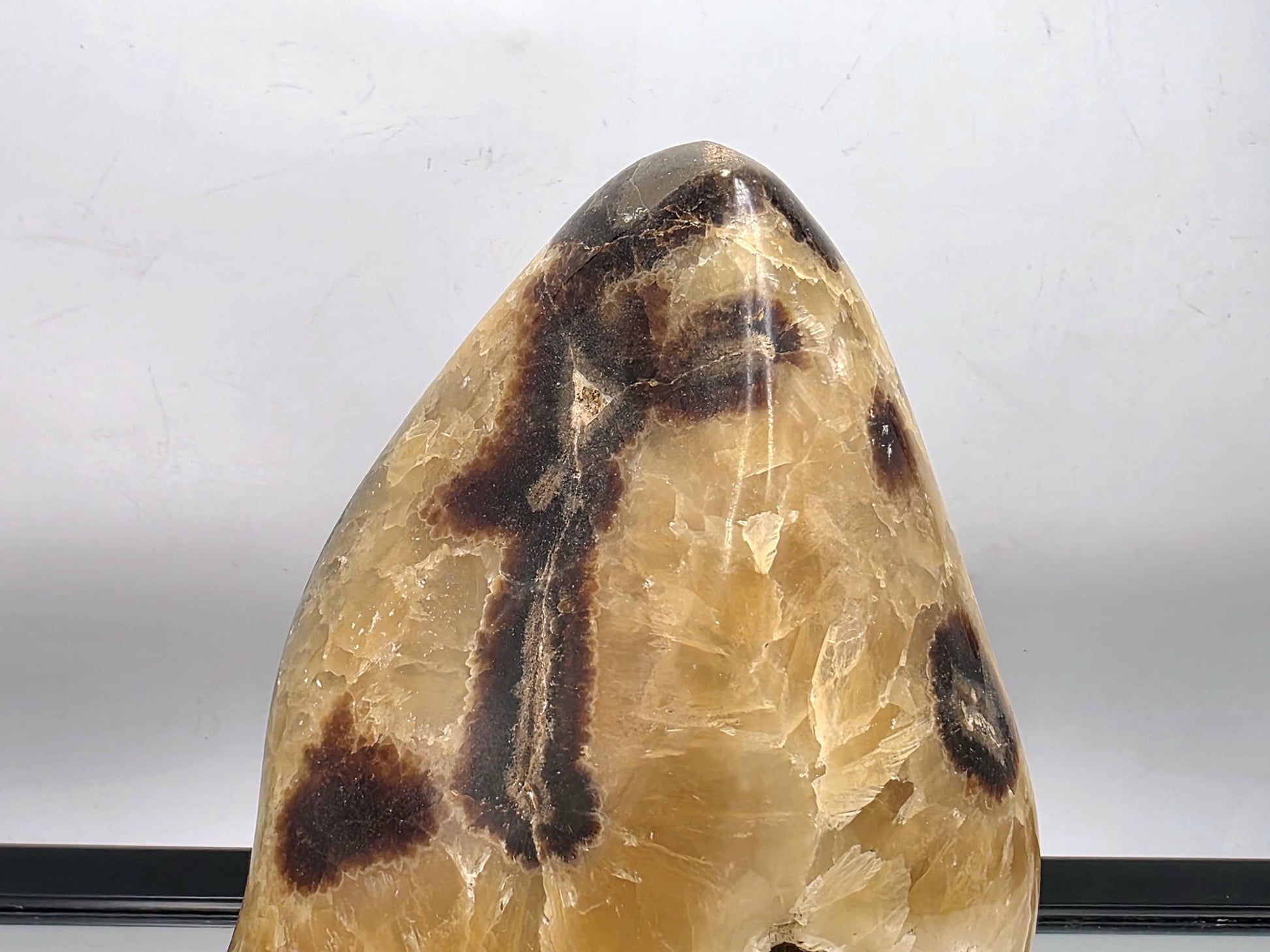 Septarian extra large polished crystal freeform.